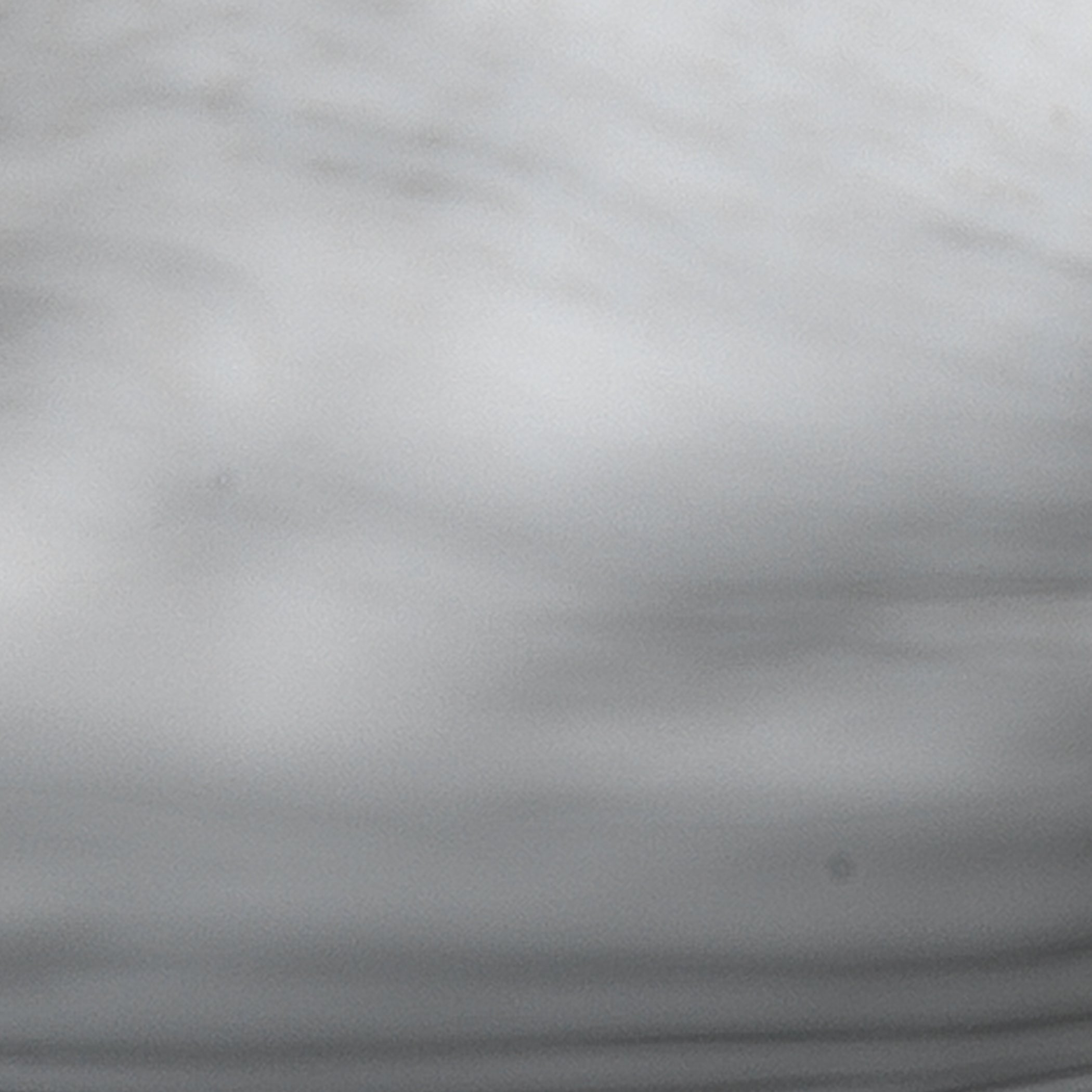 Peony Ceramic Decorative Bowl by Jamie Young