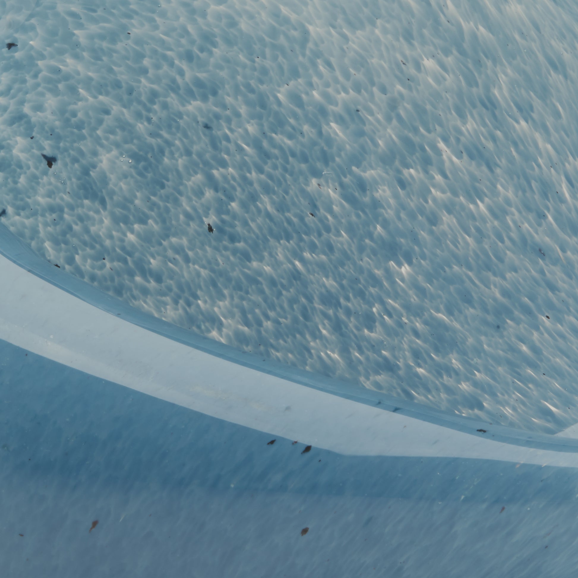 Triton Hand Blown Decorative Glass Shell, Blue by Jamie Young