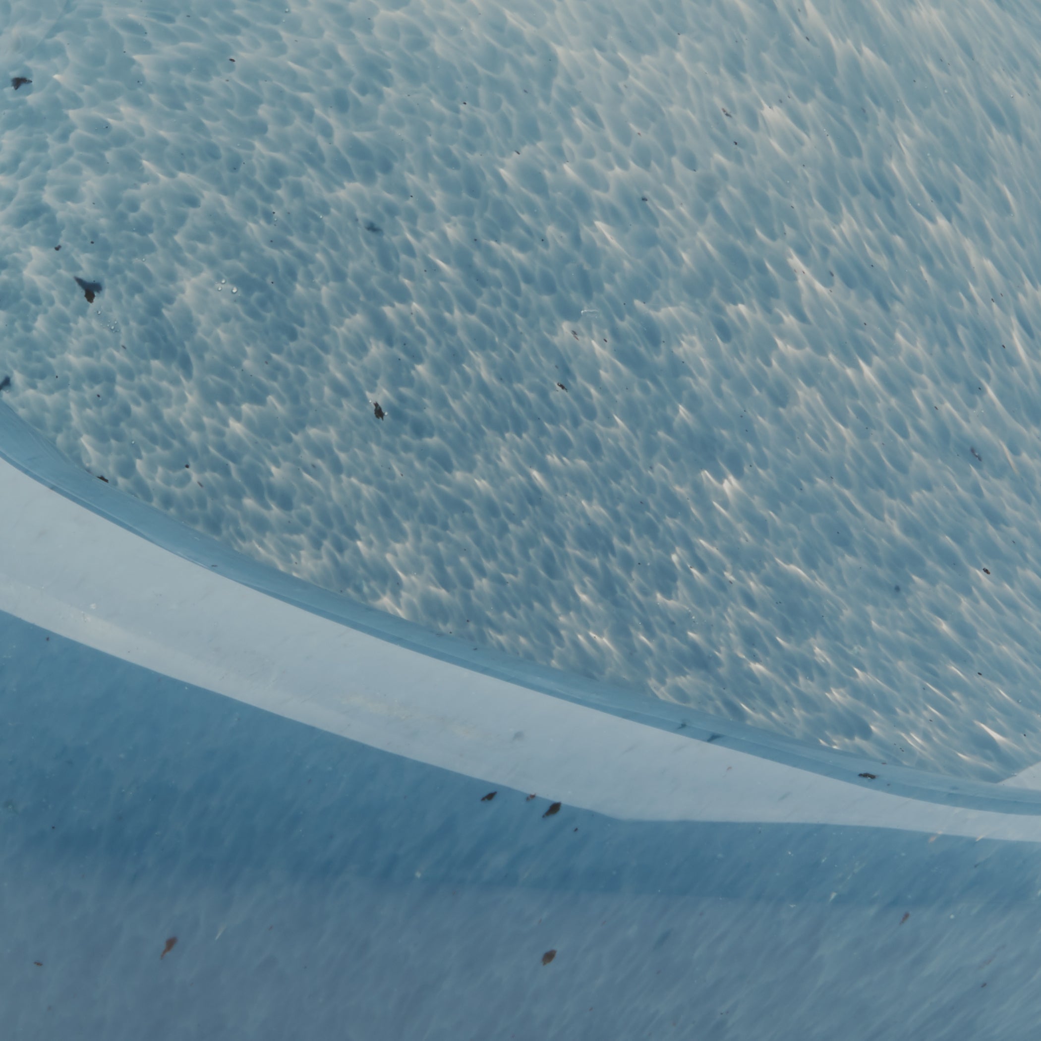 Triton Hand Blown Decorative Glass Shell, Blue by Jamie Young