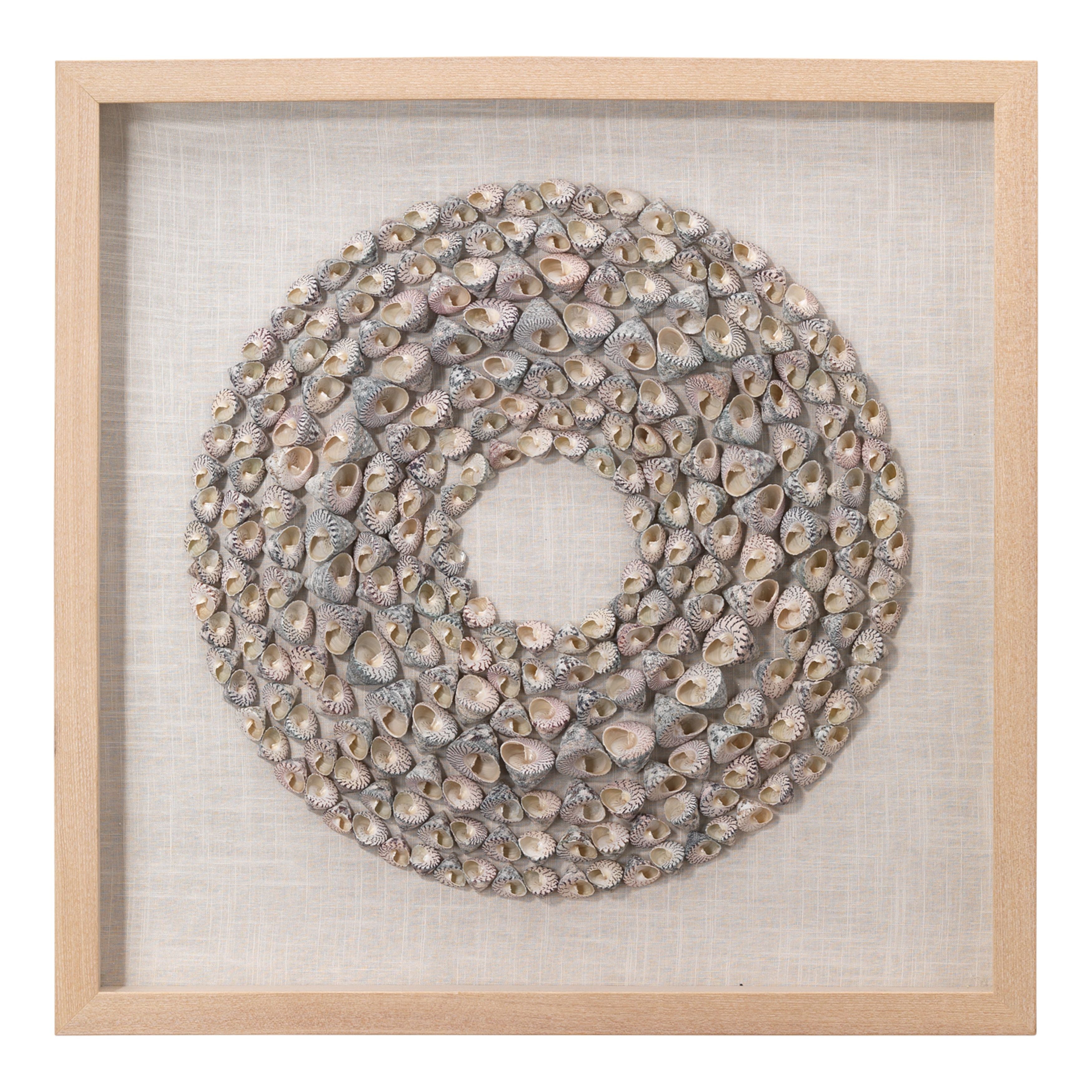 Bora Bora Framed Wall Art, Taupe Snail Shell by Jamie Young