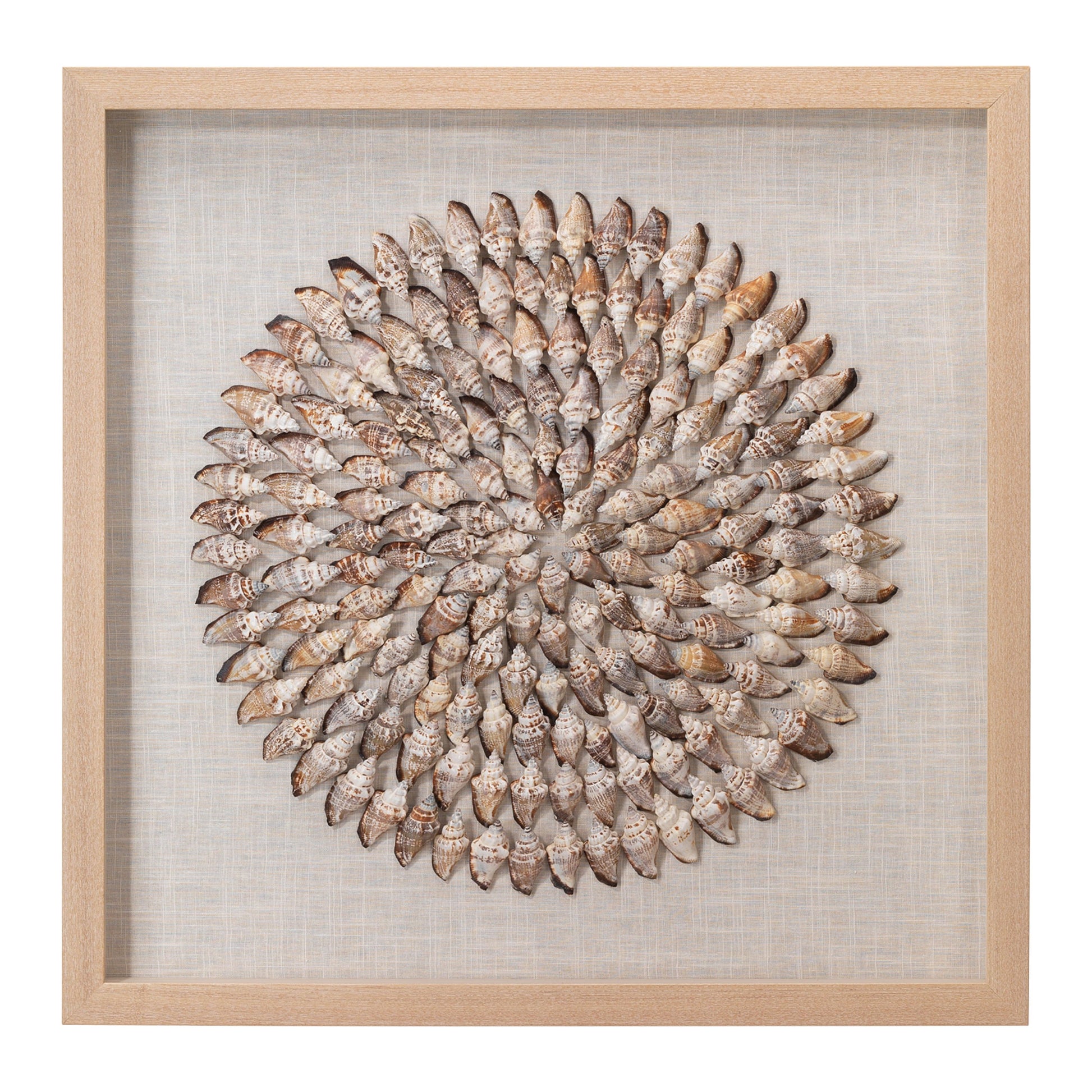 Riviera Framed Wall Art, Beige Simnia Shell by Jamie Young
