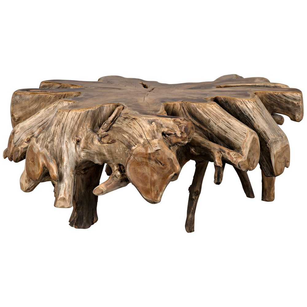 Teak Root Coffee Table by NOIR