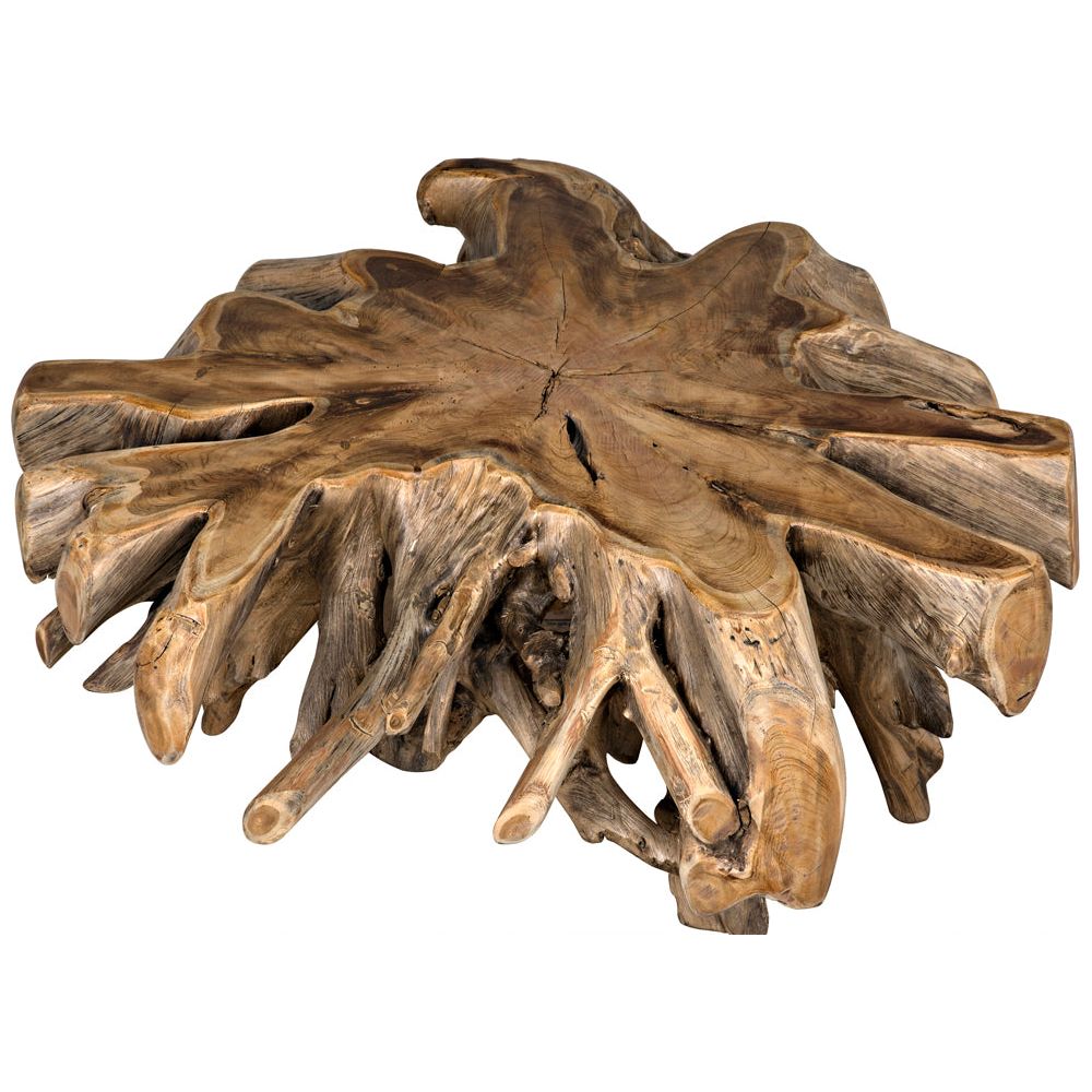 Teak Root Coffee Table by NOIR