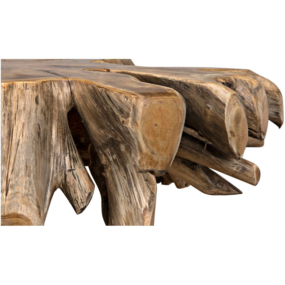 Teak Root Coffee Table by NOIR