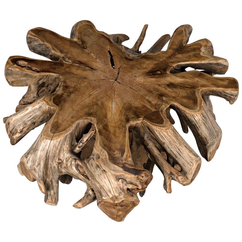 Teak Root Coffee Table by NOIR