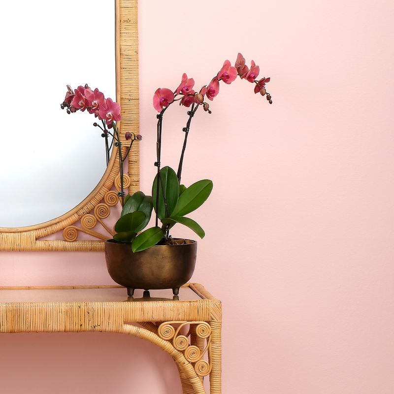 Relic Metal Footed Decorative Bowl by Jamie Young