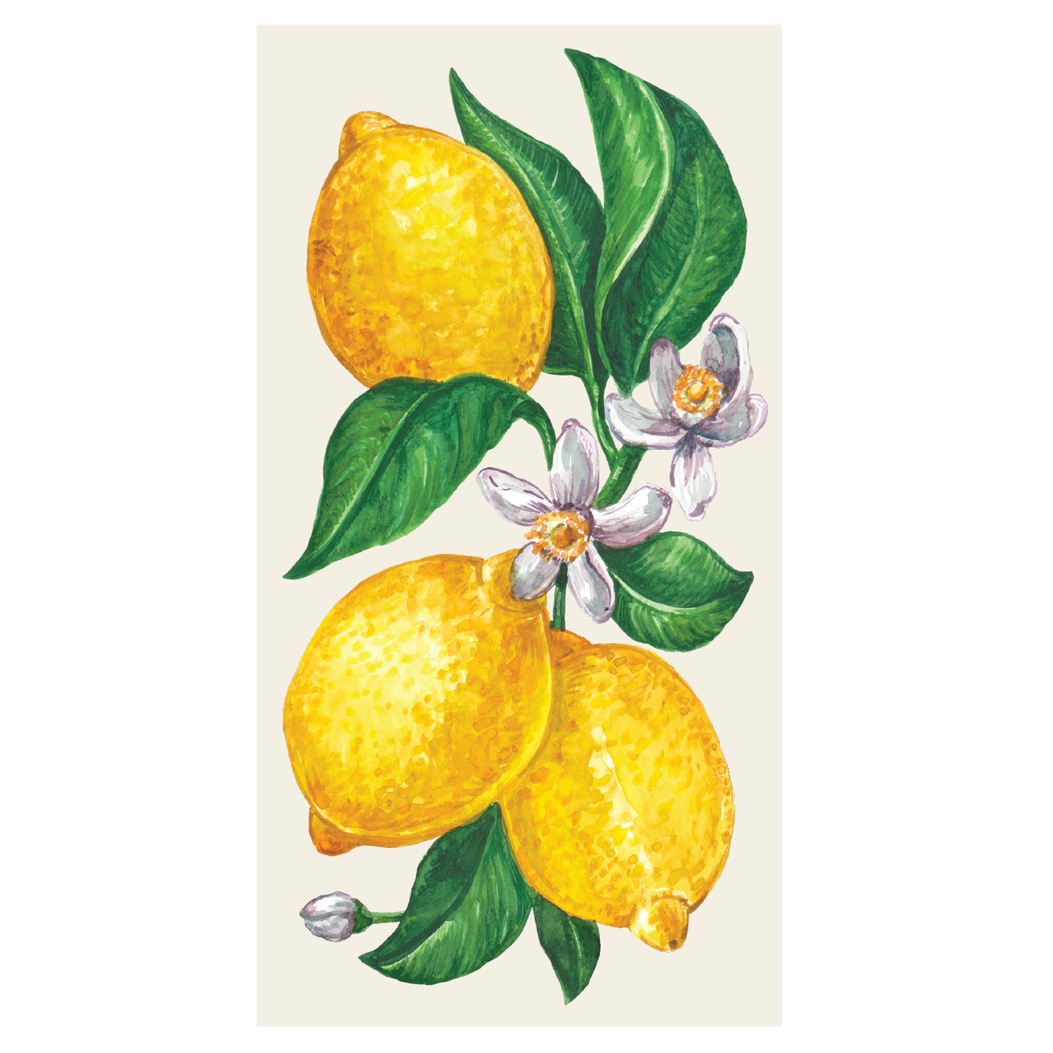 Lemons Guest Napkins by Hester & Cook