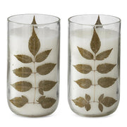 Dried Botanical Glass Candle 7.5 Inch by Ivory & Olive
