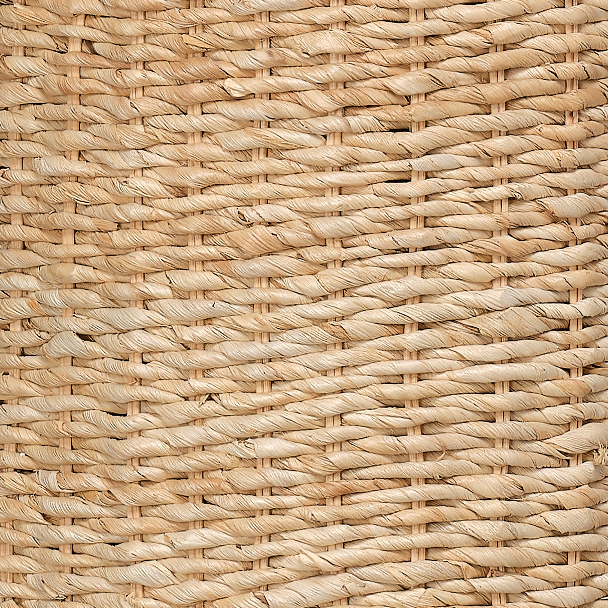 Big Island Woven 2-Light Floor Lamp, Natural by Jamie Young