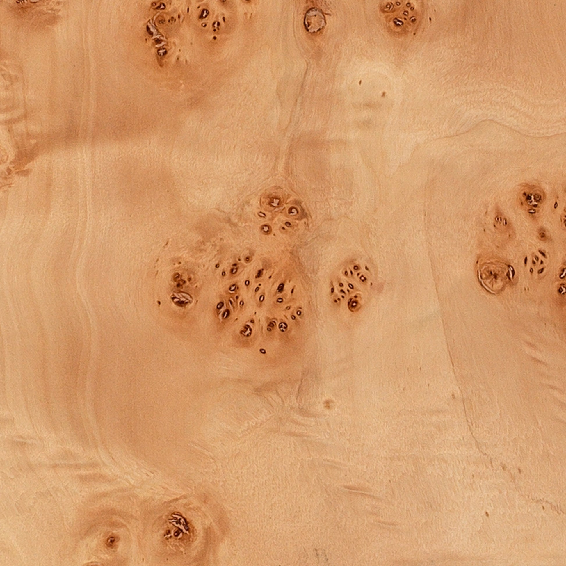 Parallel Burl Wood Floor Lamp by Jamie Young