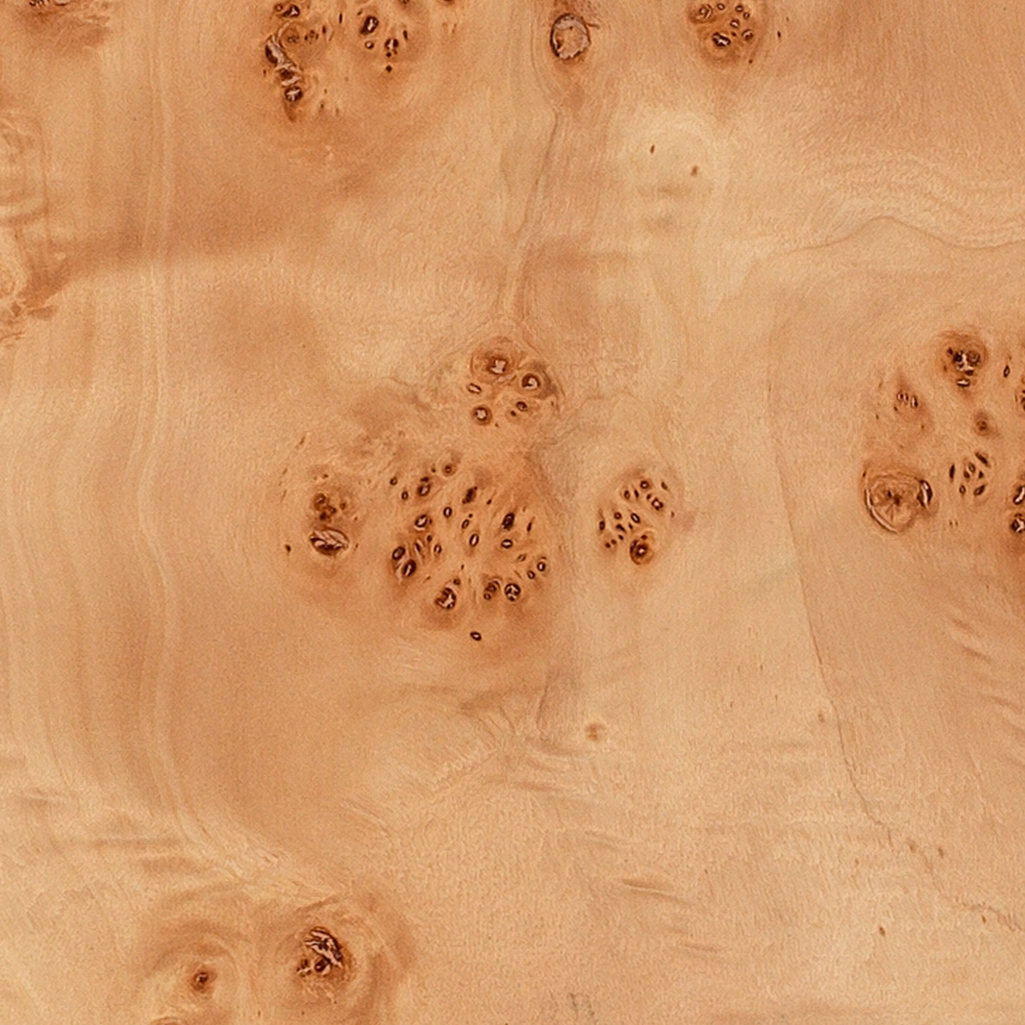 Parallel Burl Wood Floor Lamp by Jamie Young