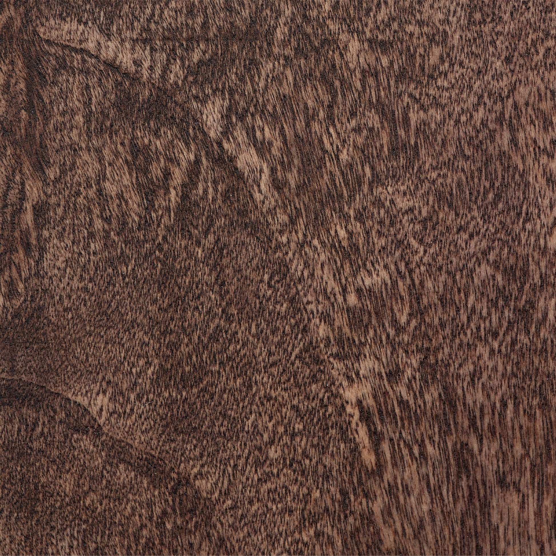 Preston Burl Wood Table Lamp with Linen Shade by Jamie Young
