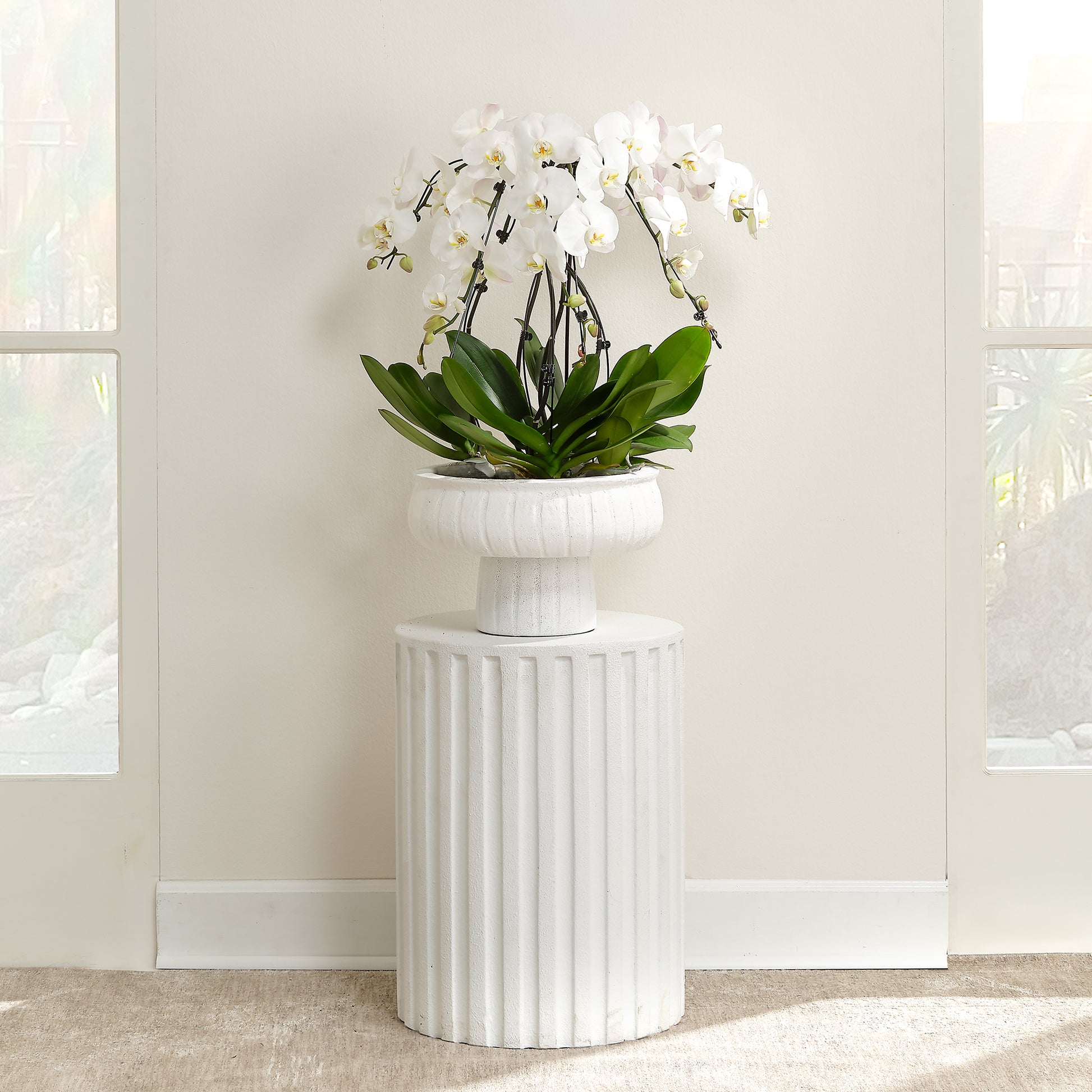 Flutted Cement Side Table, White by Jamie Young