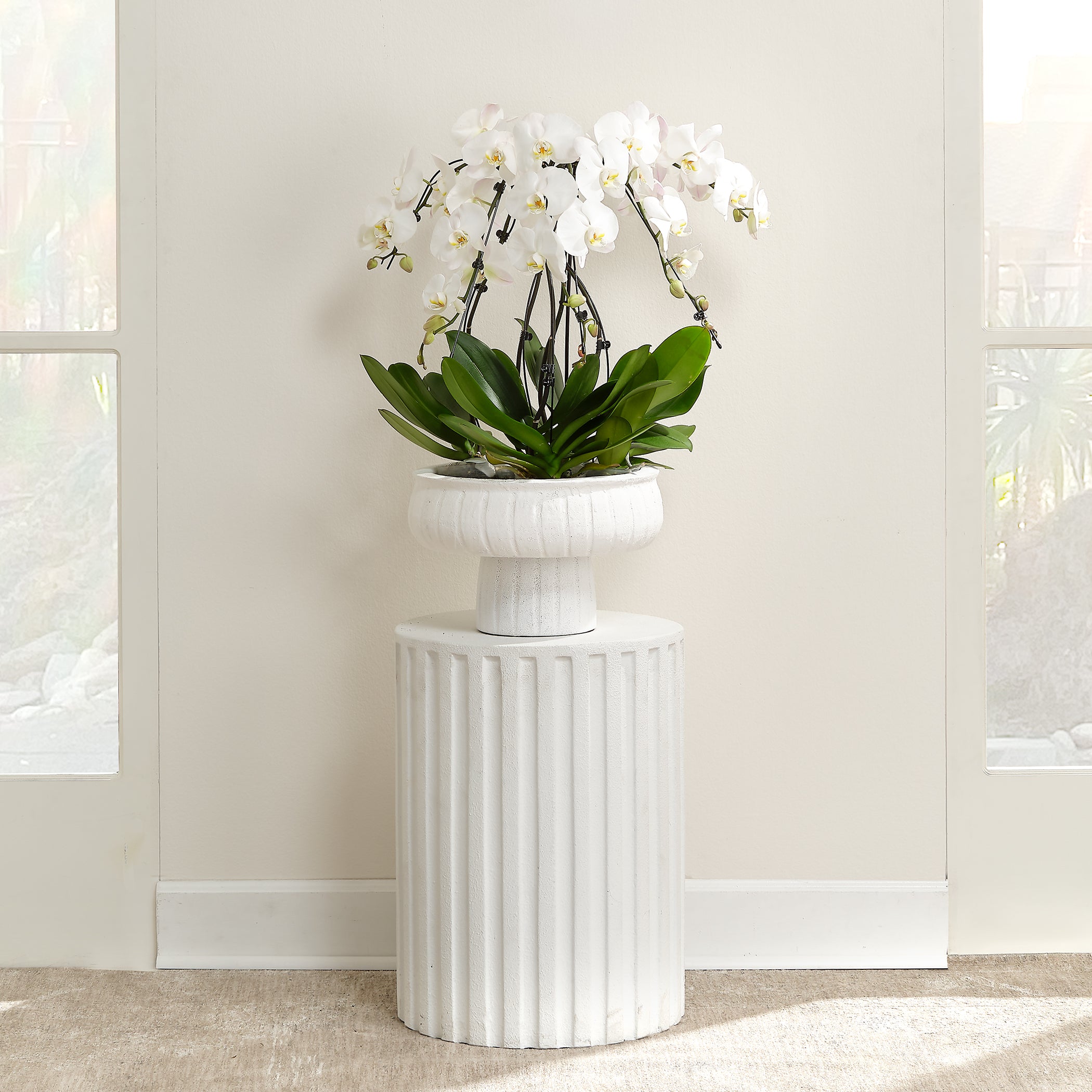 Flutted Cement Side Table, White by Jamie Young