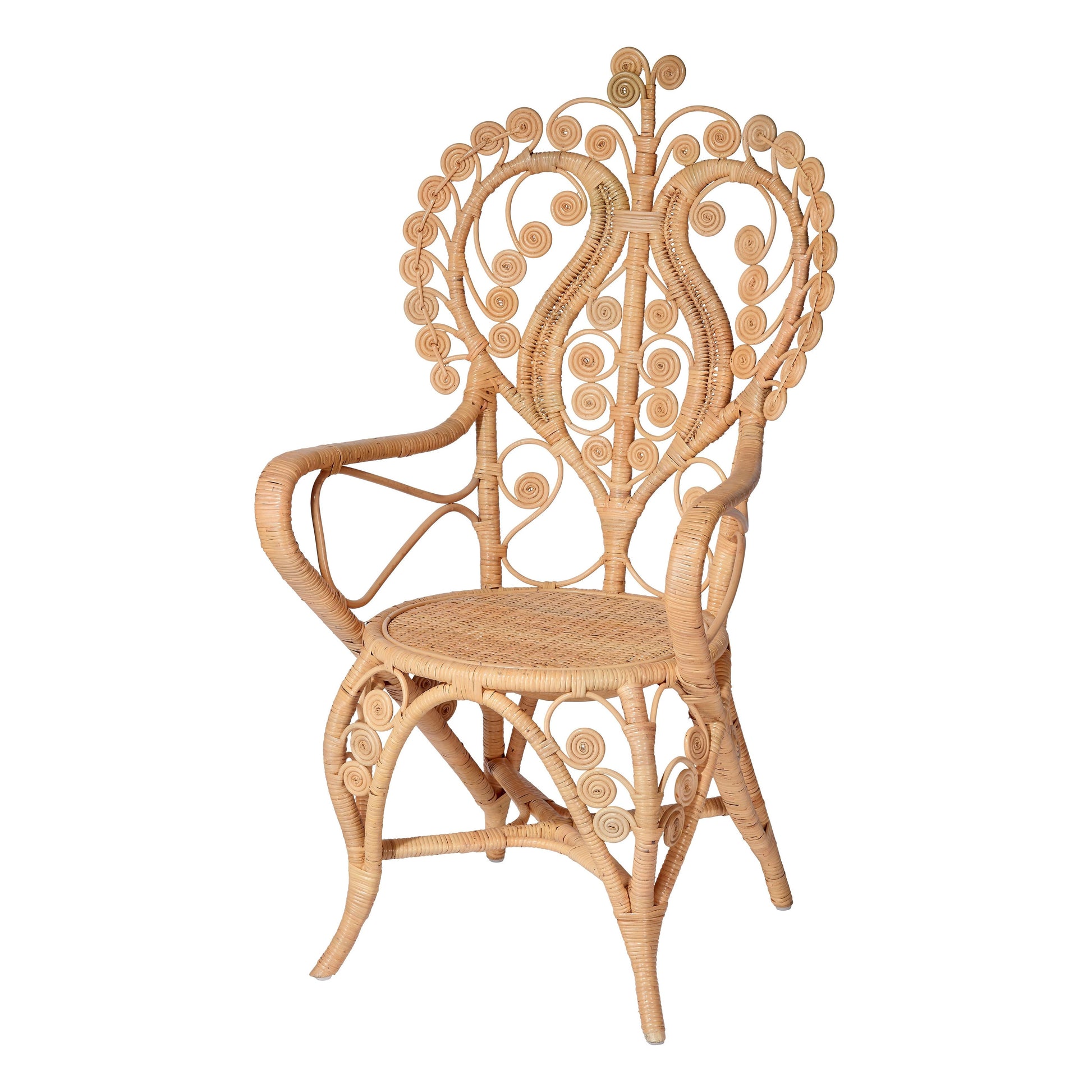 Hibiscus Rattan Arm Chair by Jamie Young