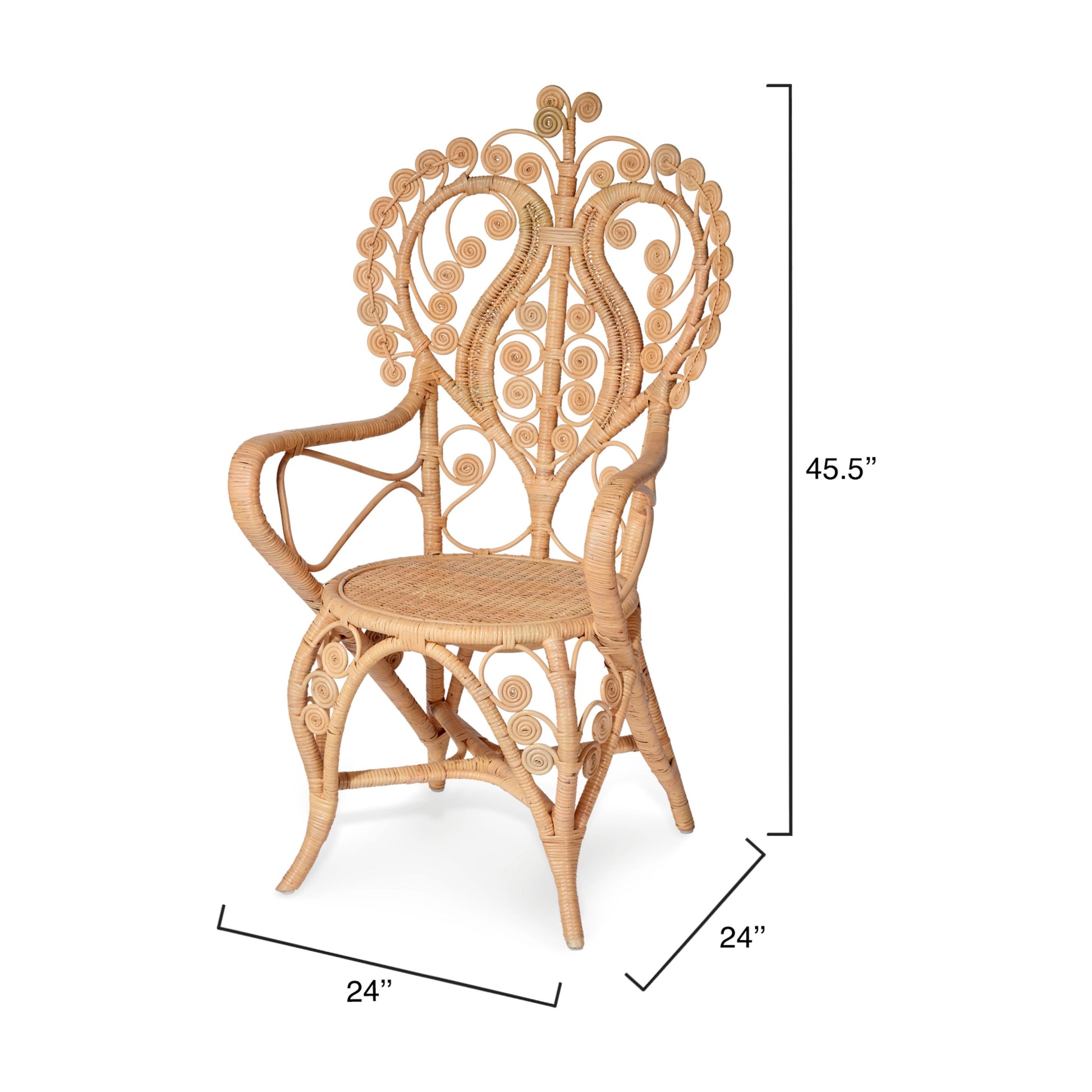 Hibiscus Rattan Arm Chair by Jamie Young
