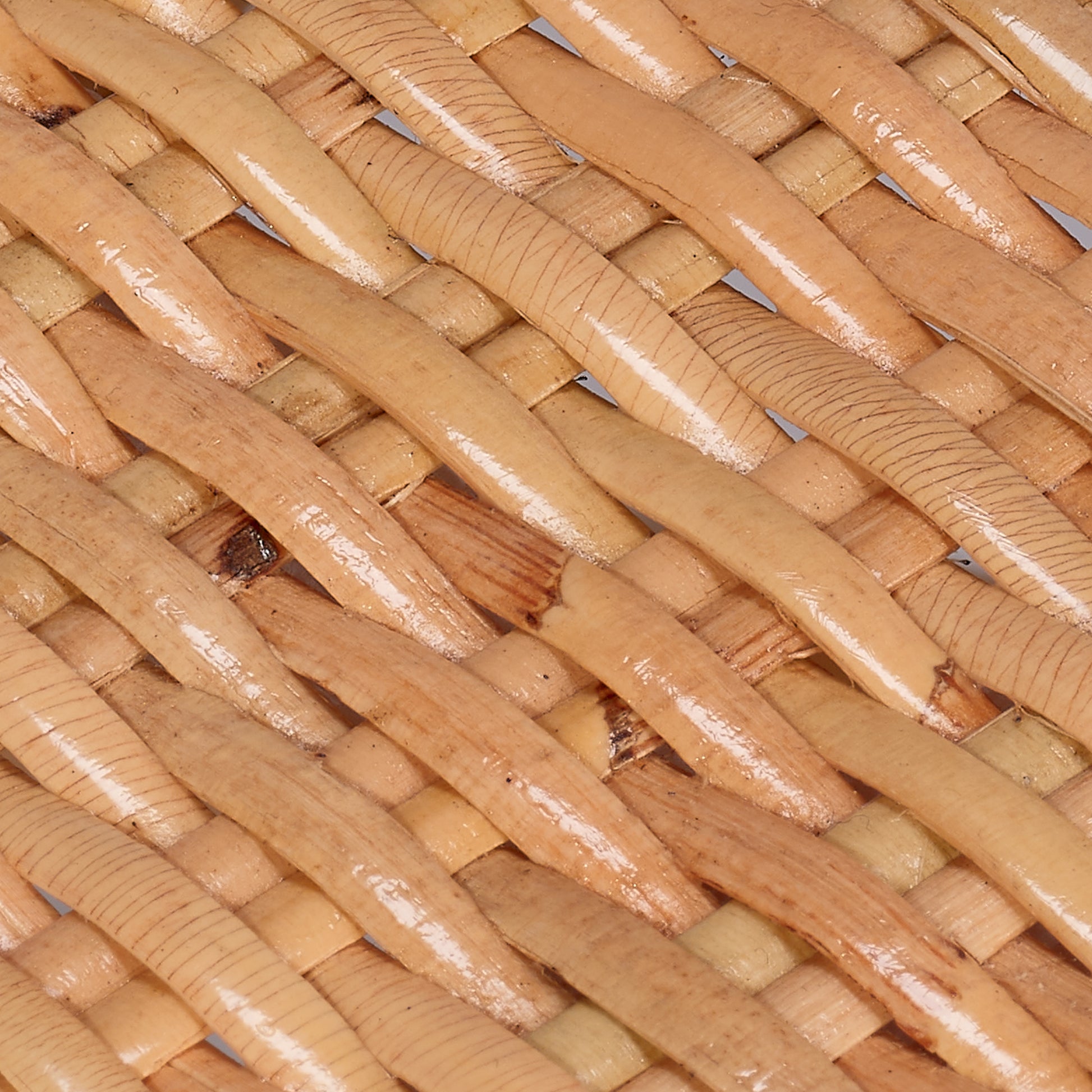 Hibiscus Rattan Arm Chair by Jamie Young