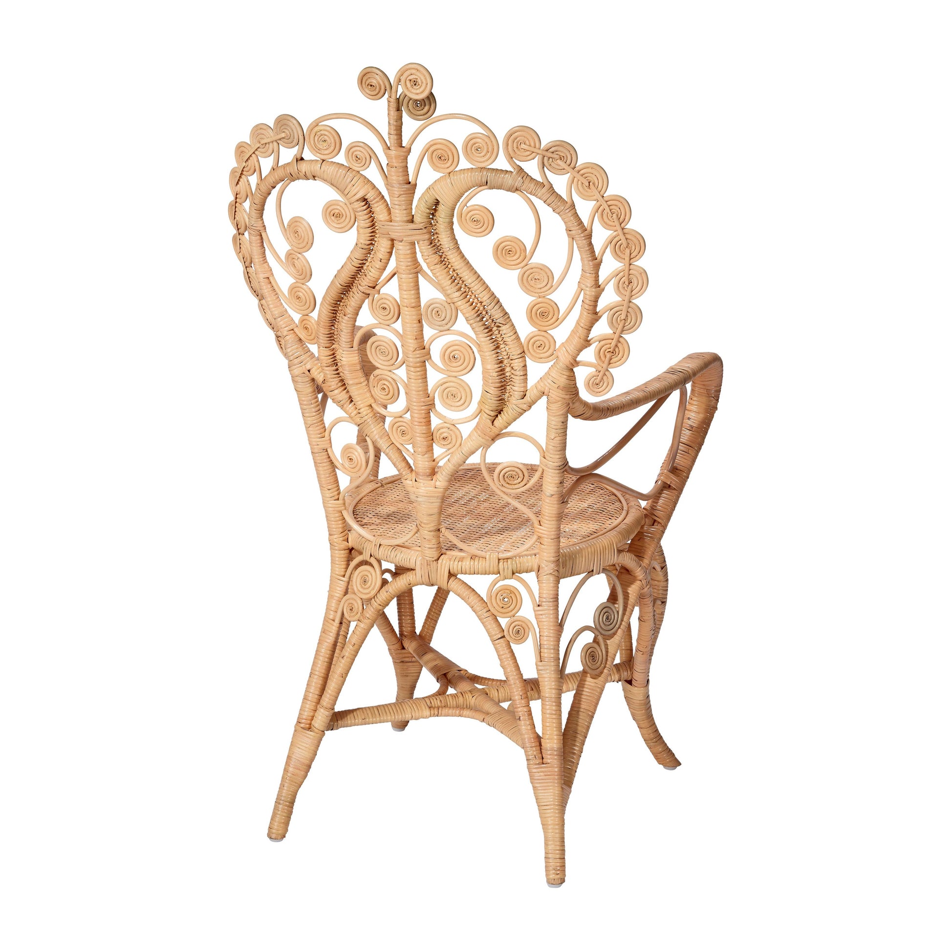 Hibiscus Rattan Arm Chair by Jamie Young