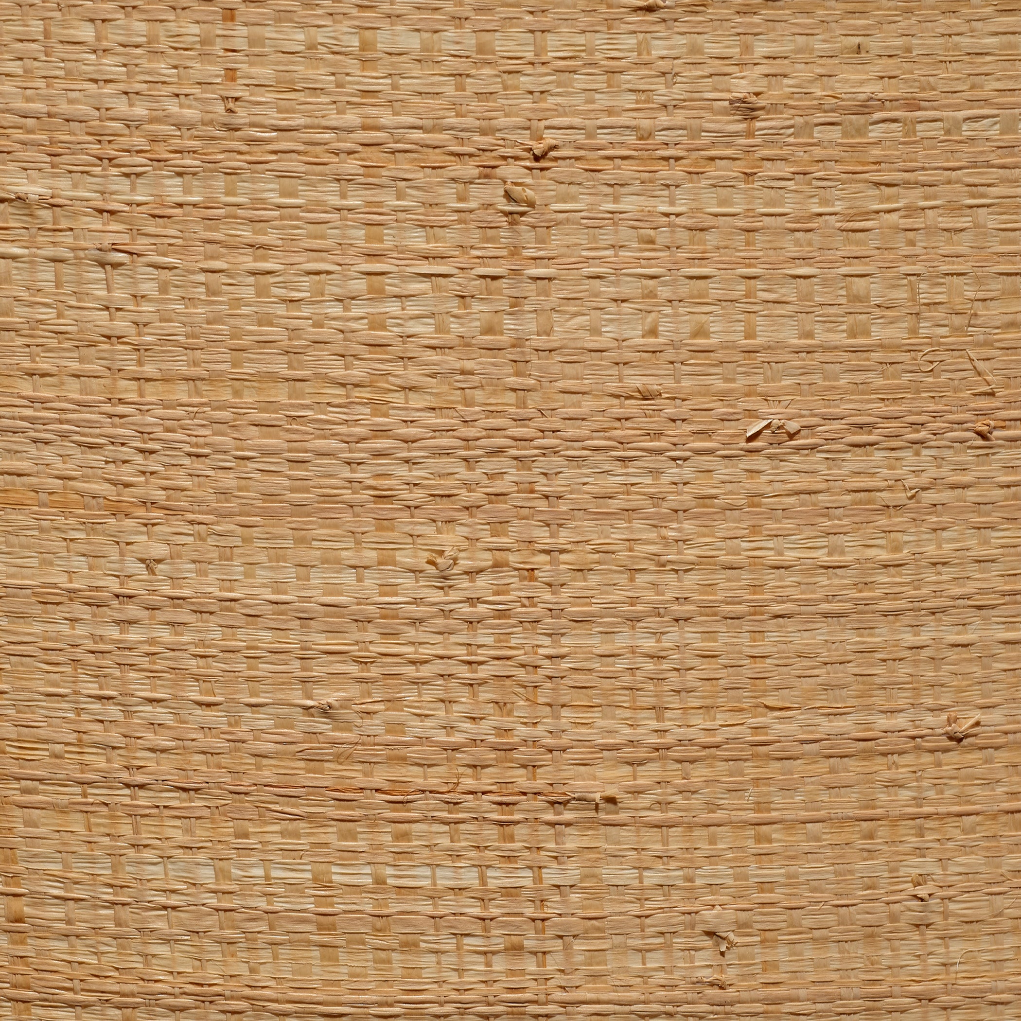 Drum Raffia Shade, Large by Jamie Young