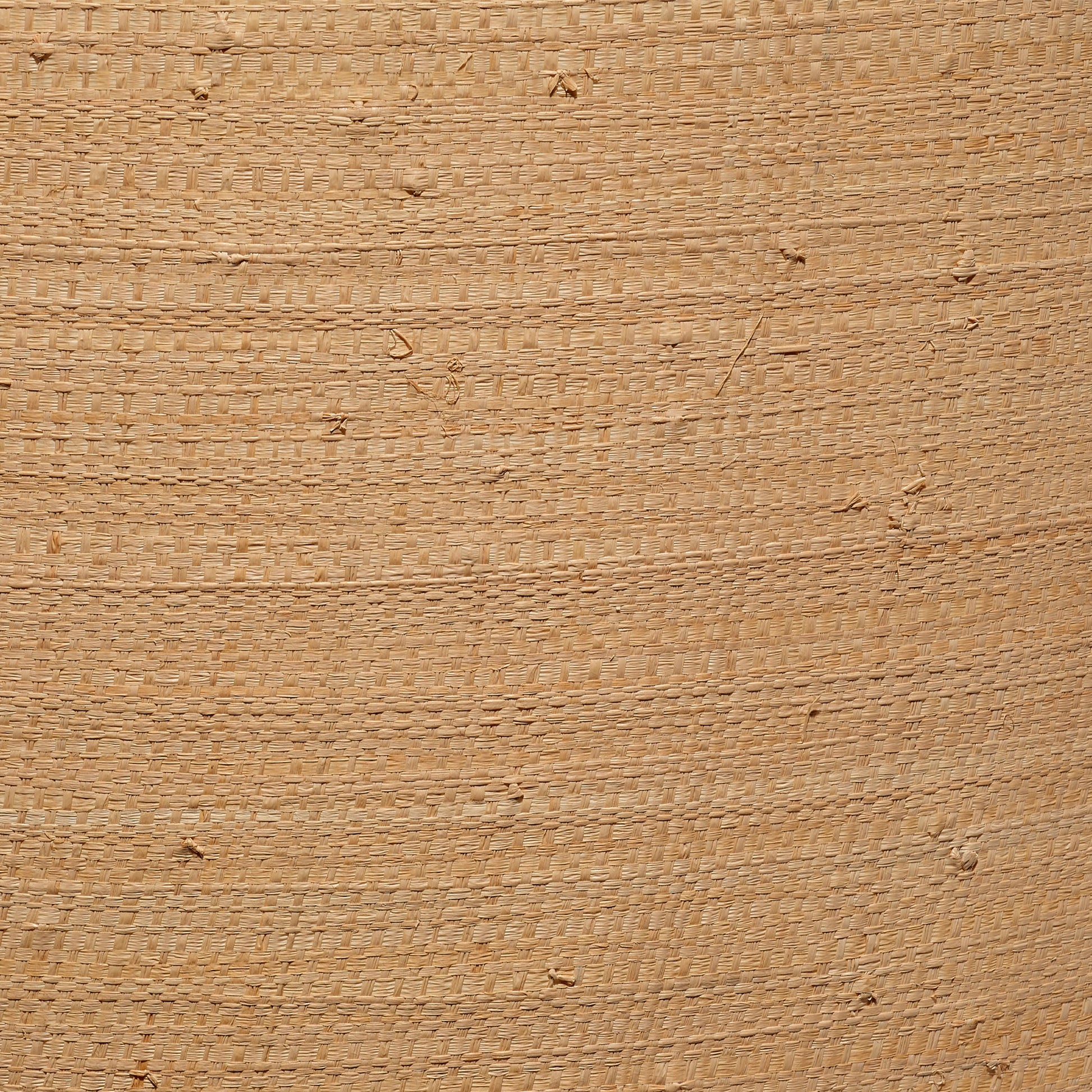 Drum Raffia Shade, Medium by Jamie Young