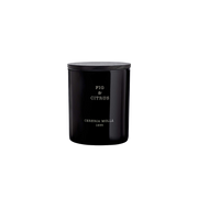 Fig & Citrus Classic Candle 8 OZ | Cereria Molla by Cereria Molla