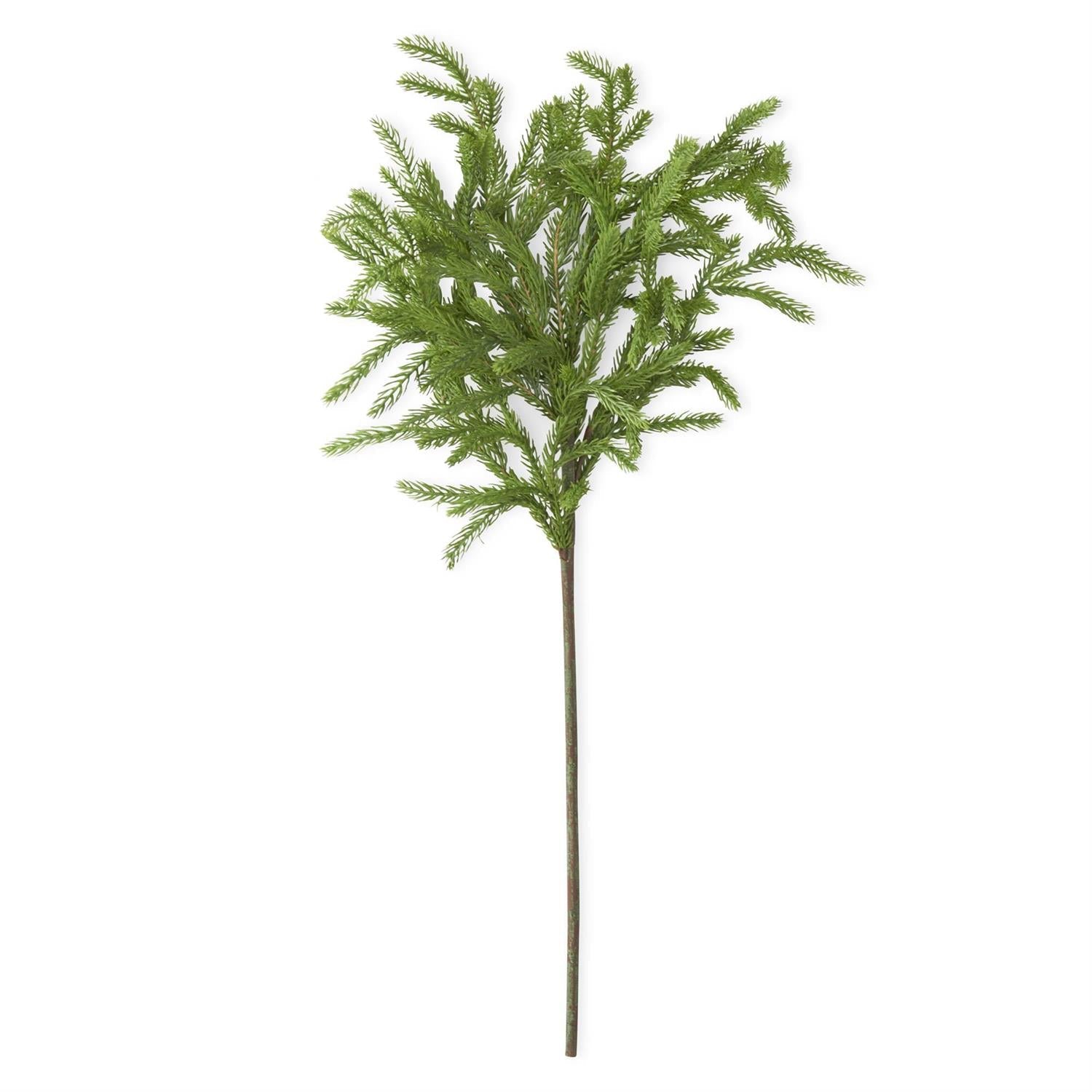 Real Touch Norfolk Pine Stem