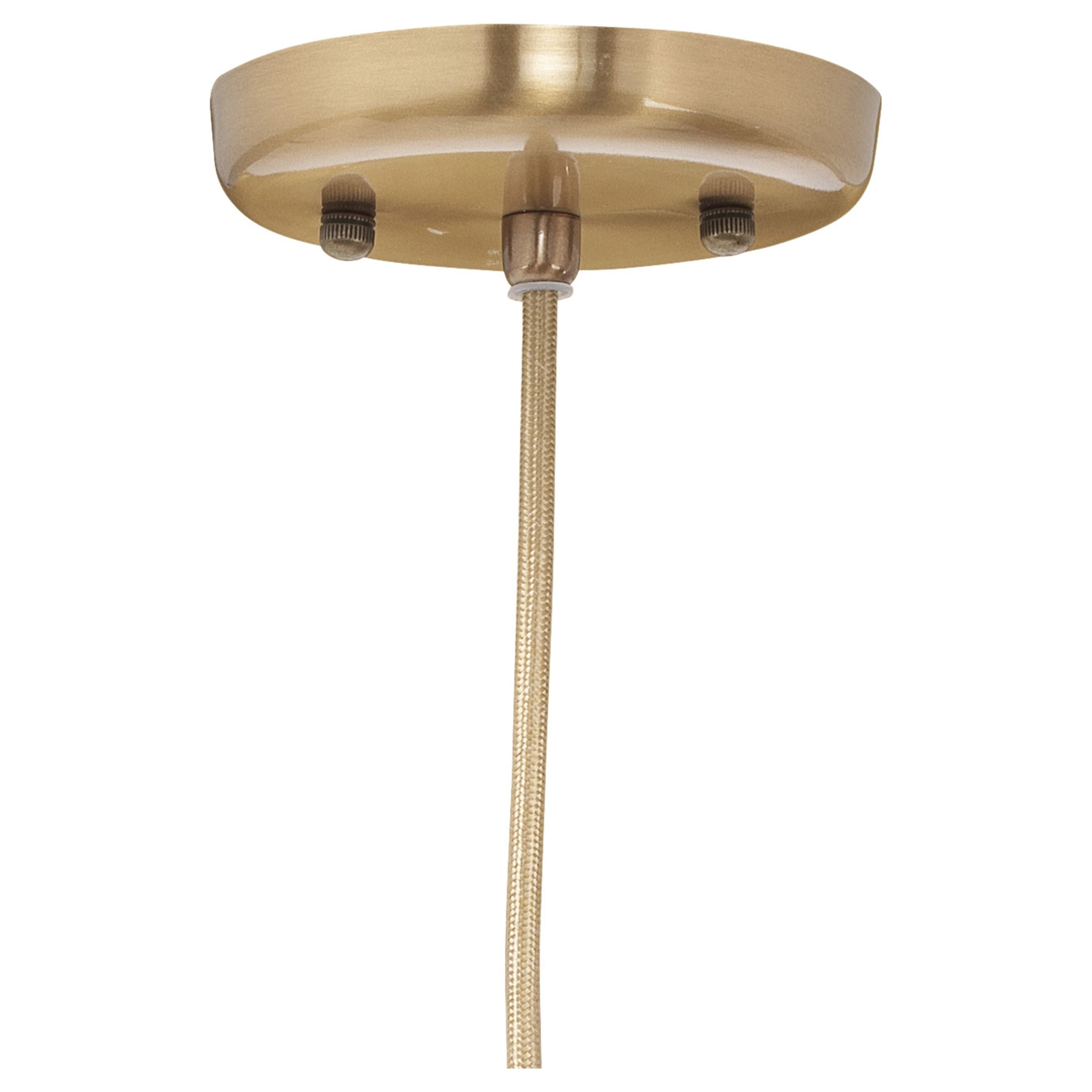 Isabella Carafe 1-Light Pendant by Jamie Young