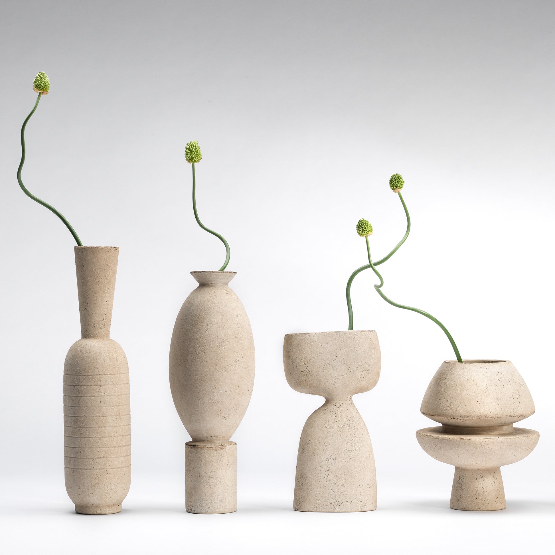 Anatomy Ceramic Decorative Vase by Jamie Young