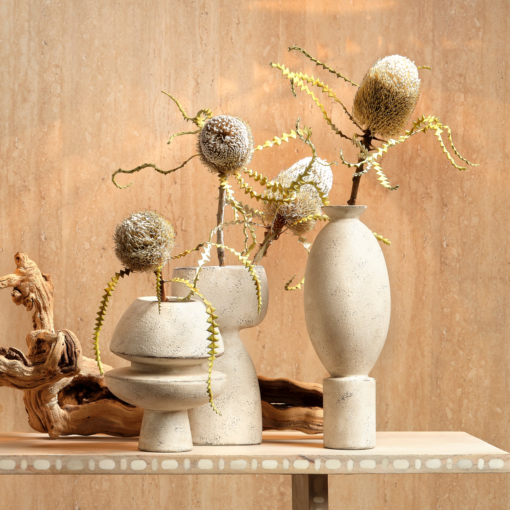 Anatomy Ceramic Decorative Vase by Jamie Young