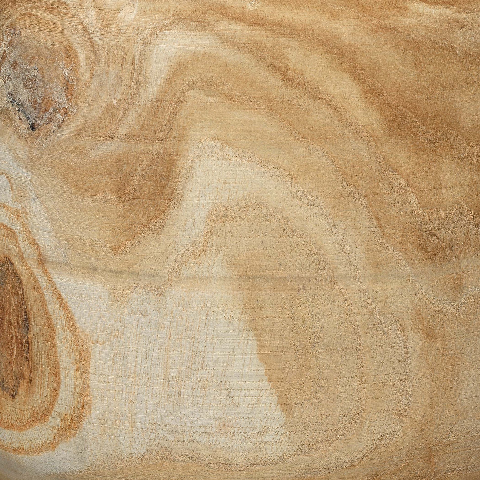 Brea Wooden Decorative Vase by Jamie Young