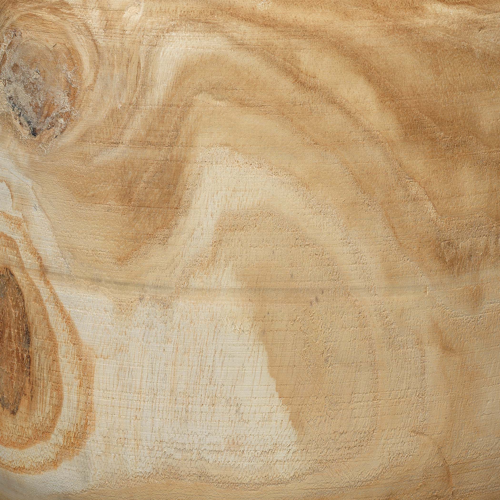 Brea Wooden Decorative Vase by Jamie Young