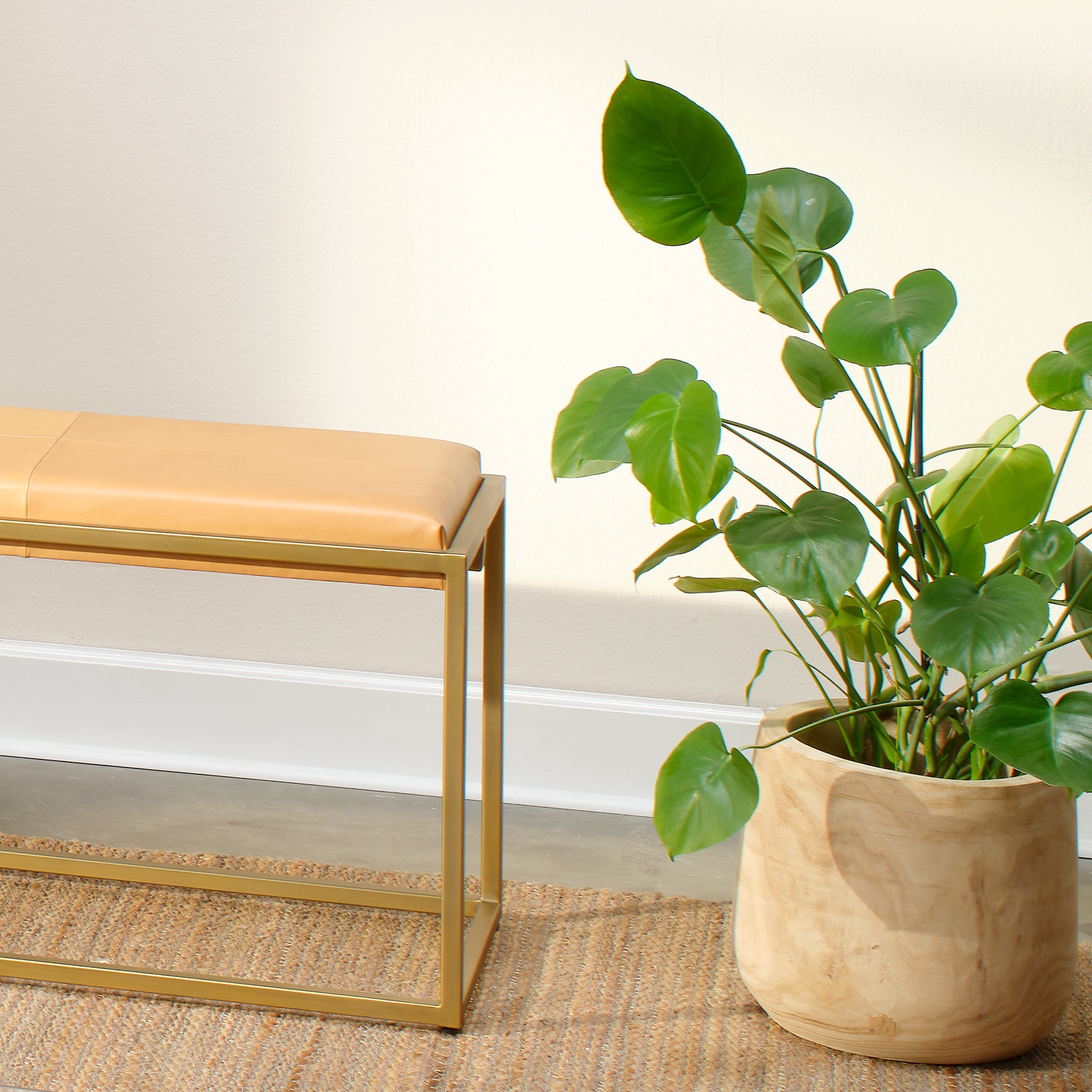 Brea Wooden Decorative Vase by Jamie Young