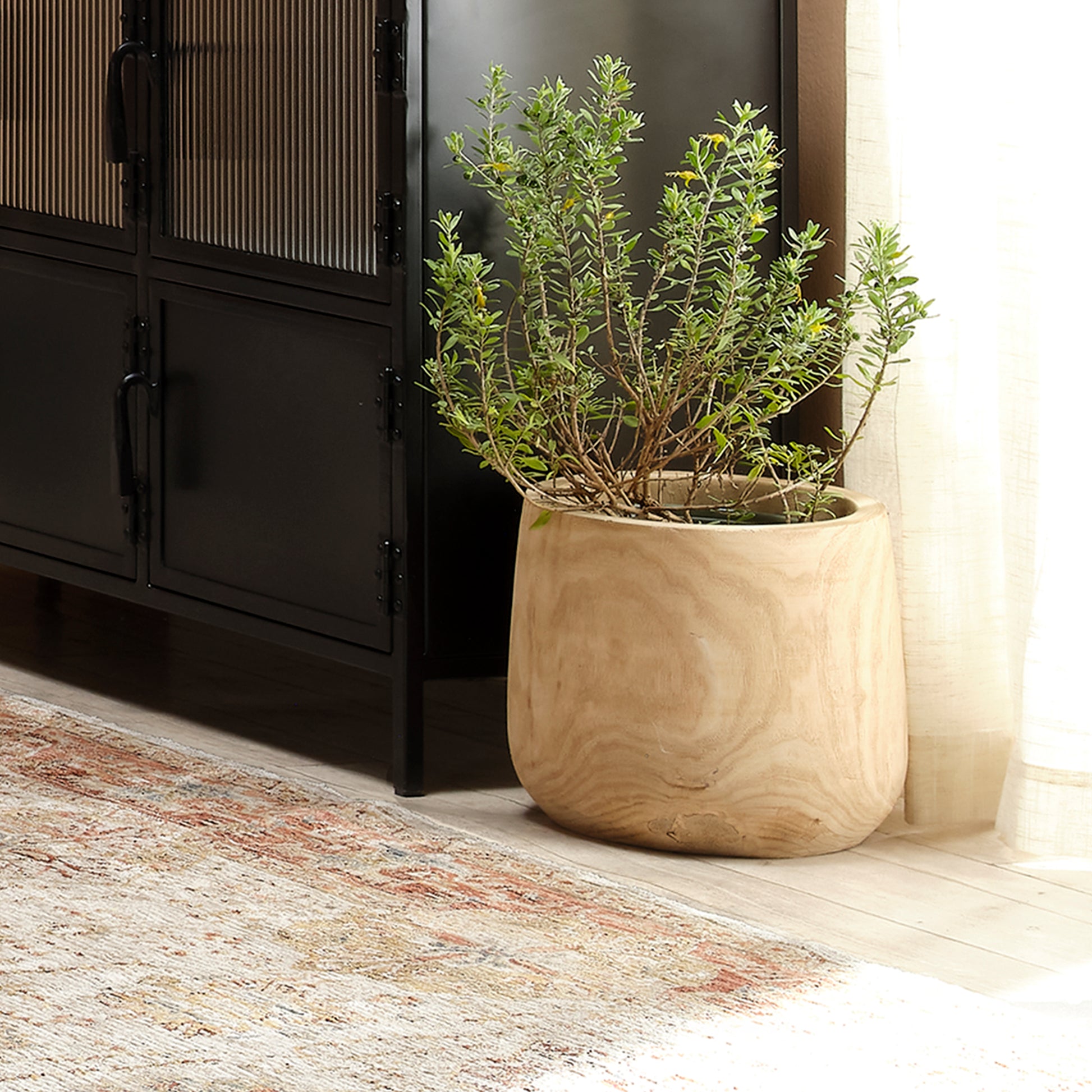 Brea Wooden Decorative Vase by Jamie Young