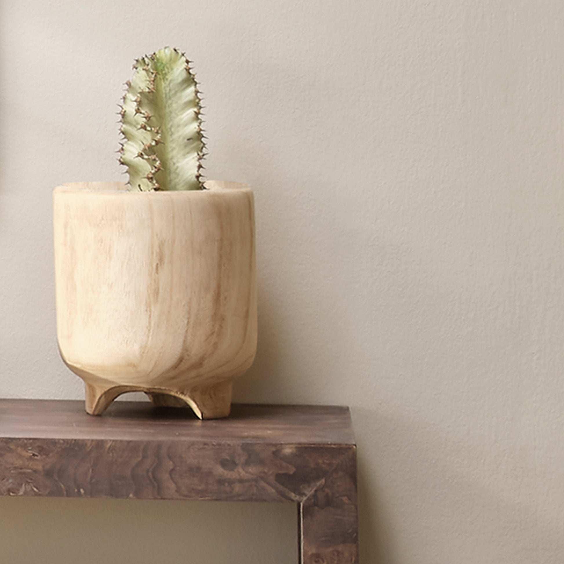 Canyon Wooden Decorative Vase by Jamie Young