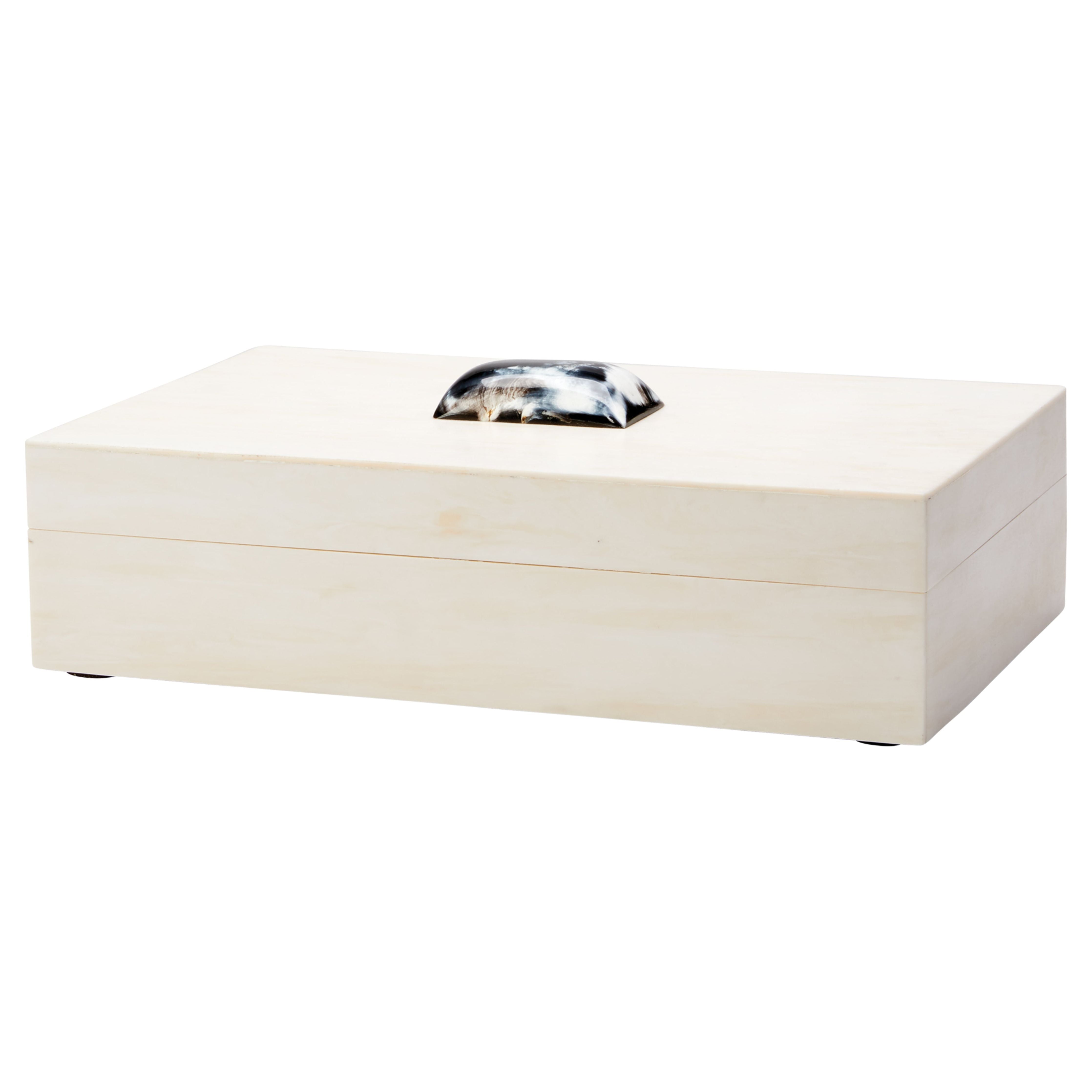 Constantine Large Rectangle Decorative Box by Jamie Young