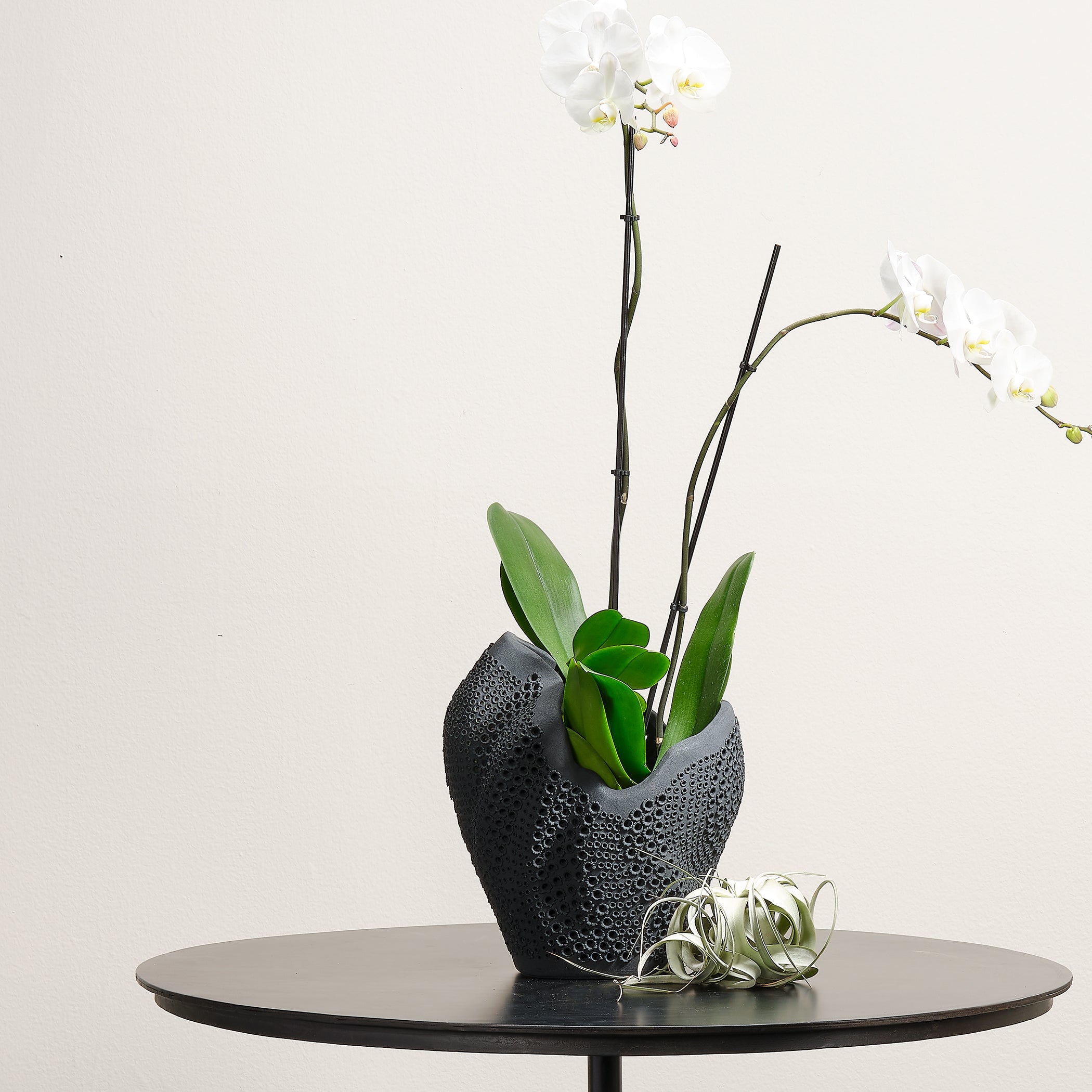 Eclipse Porcelain Decorative Vase by Jamie Young