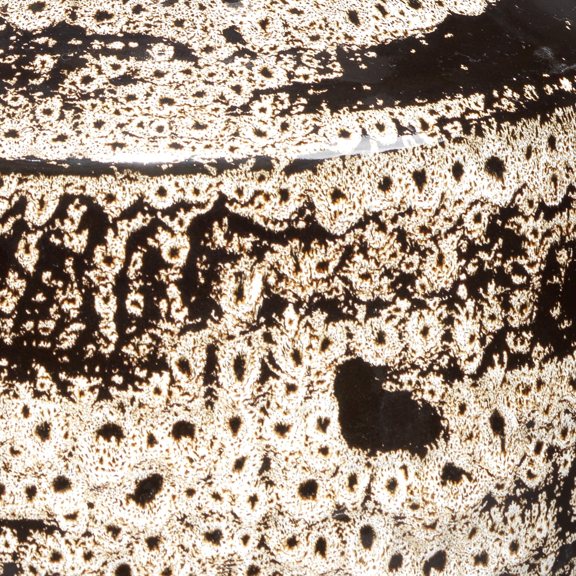 Jones Ceramic Decorative Vase by Jamie Young