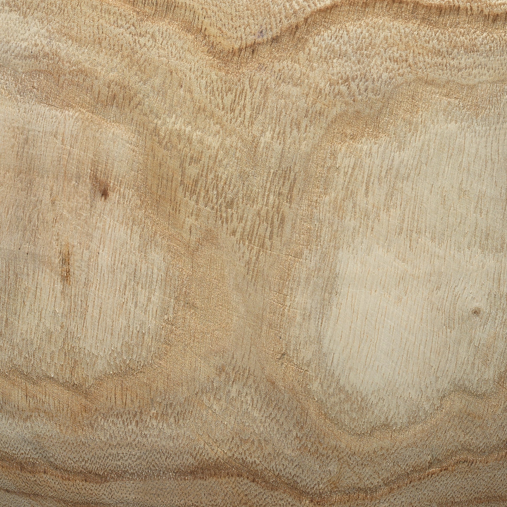 Laguna Wooden Decorative Vase by Jamie Young