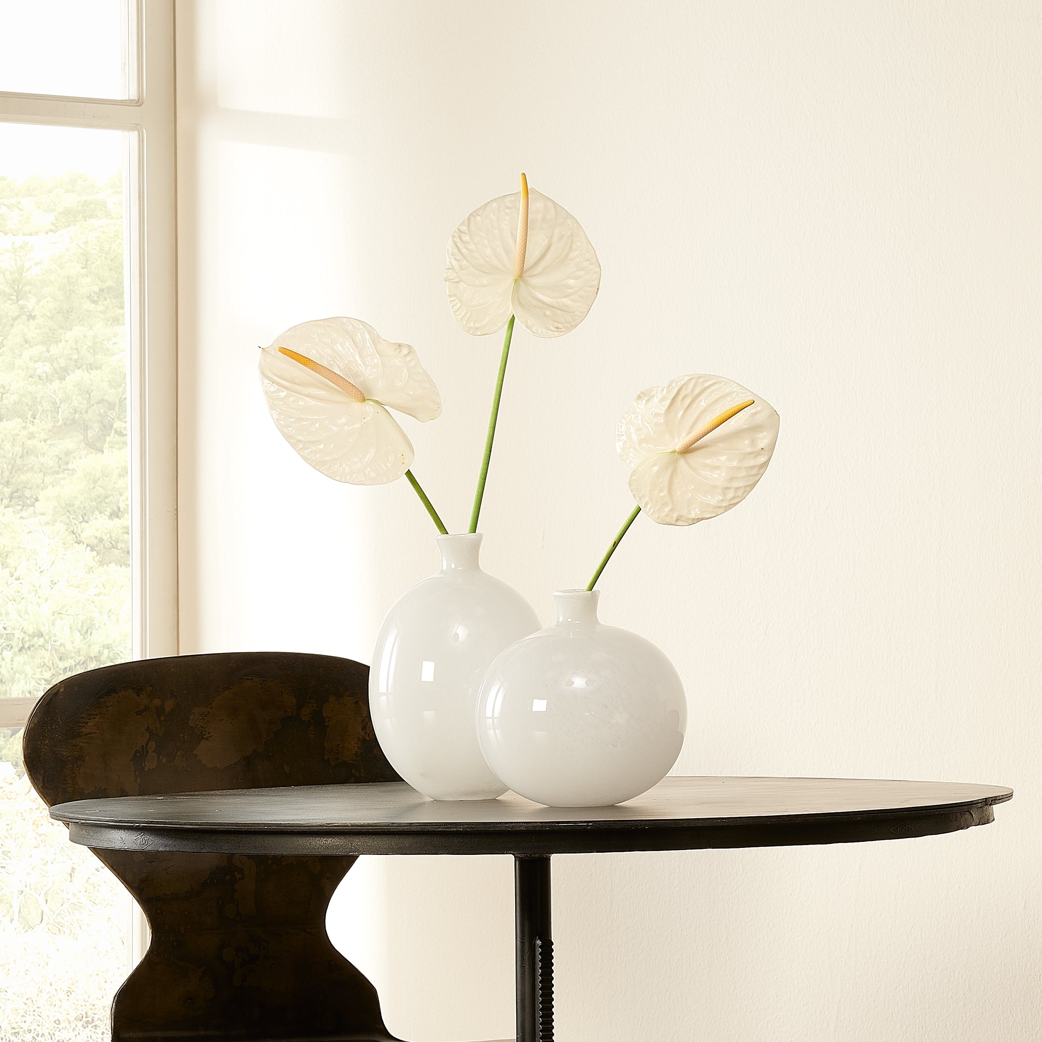 Minx Decorative Glass Vases (Set of 2) by Jamie Young