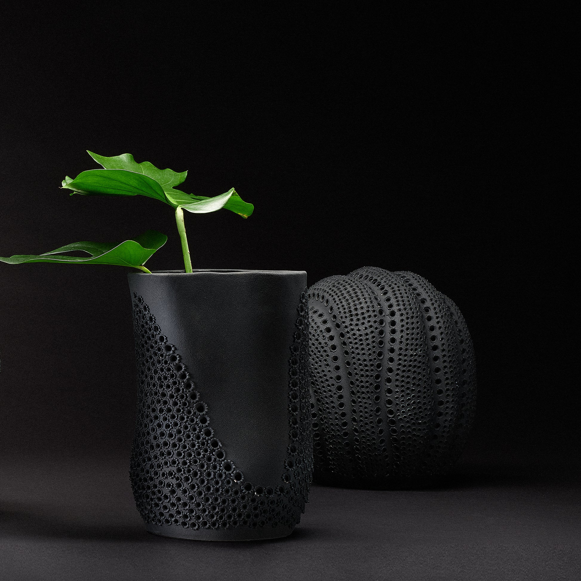 Moonrise Porcelain Decorative Vase by Jamie Young