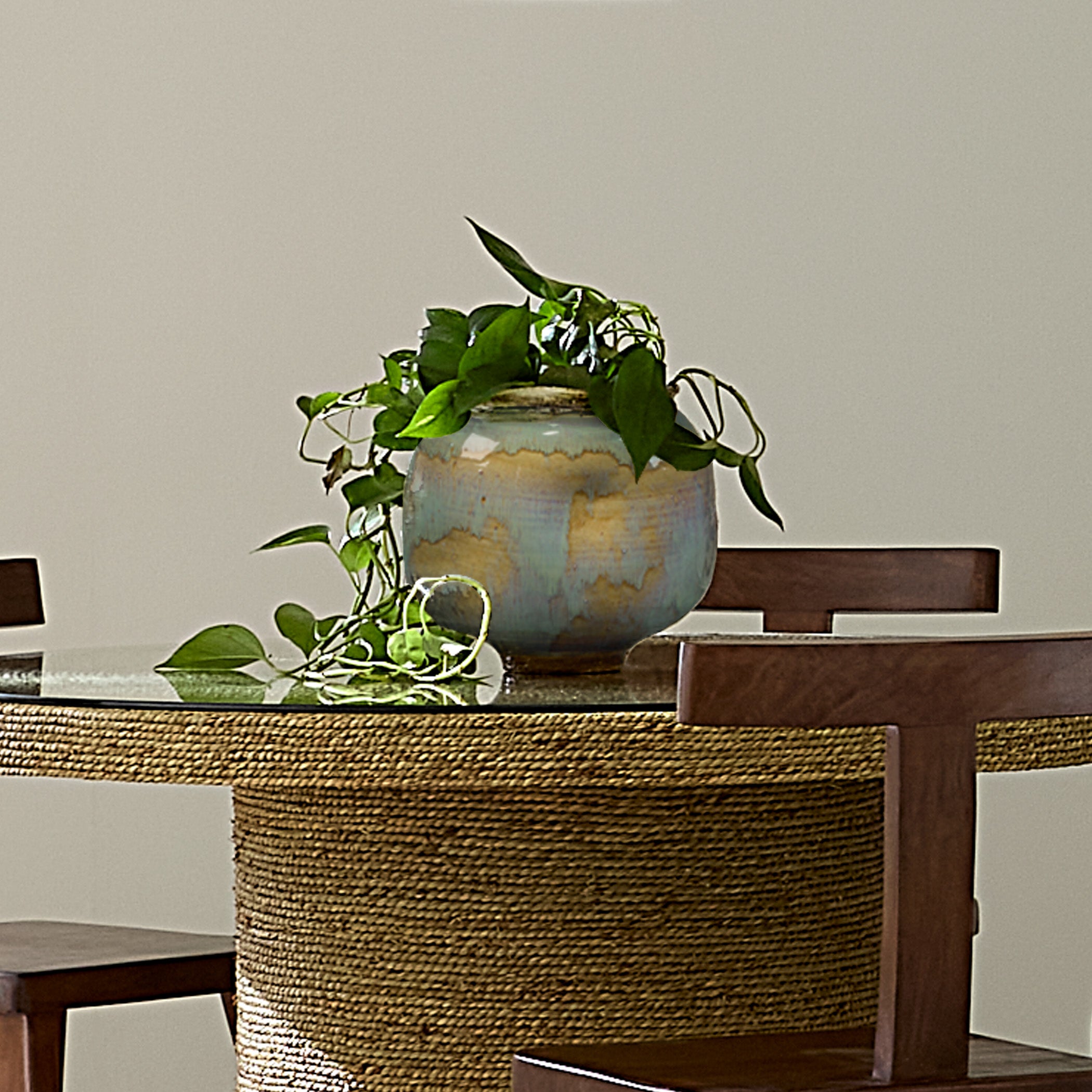 Seville Ceramic Decorative Basin by Jamie Young