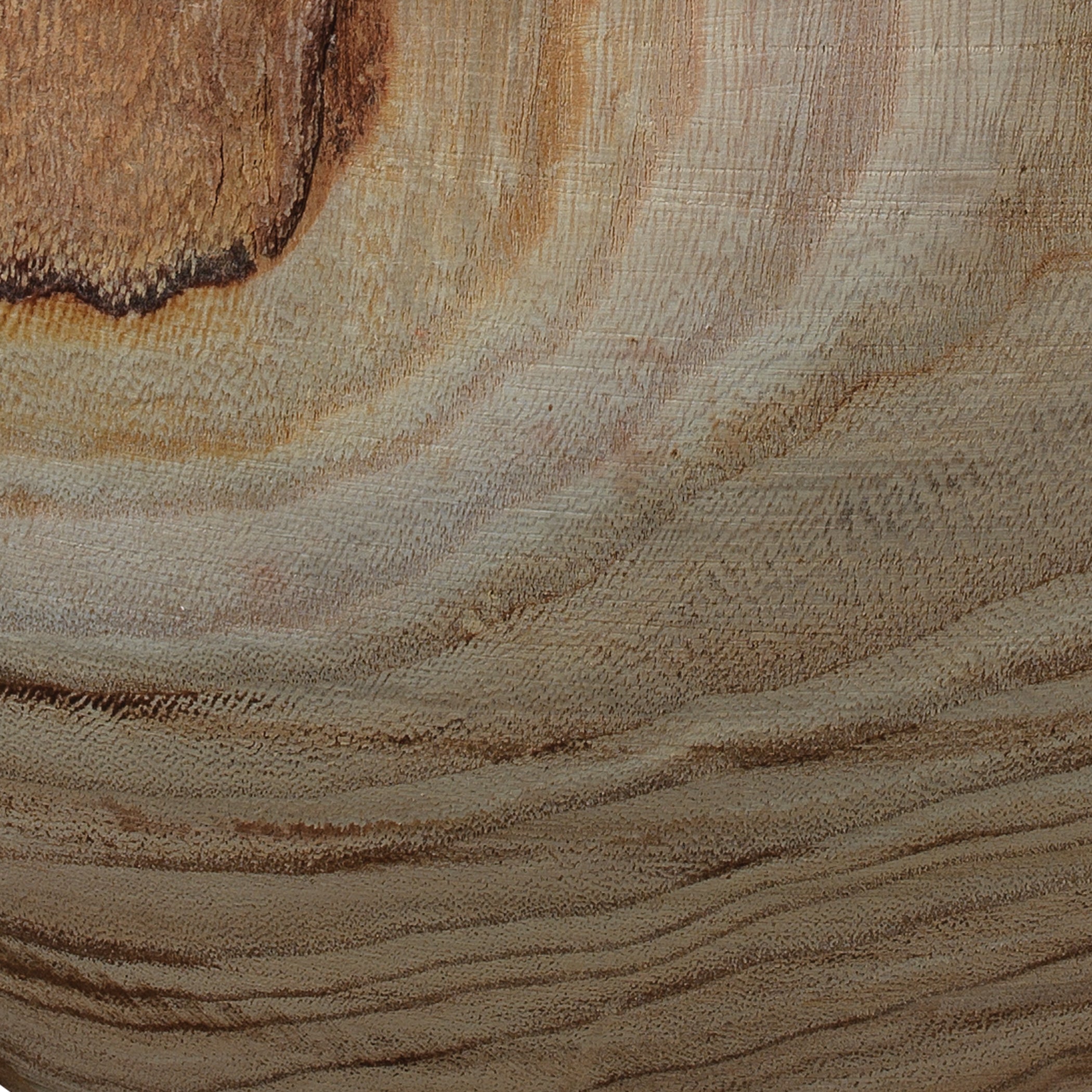 Topanga Wooden Decorative Vase by Jamie Young