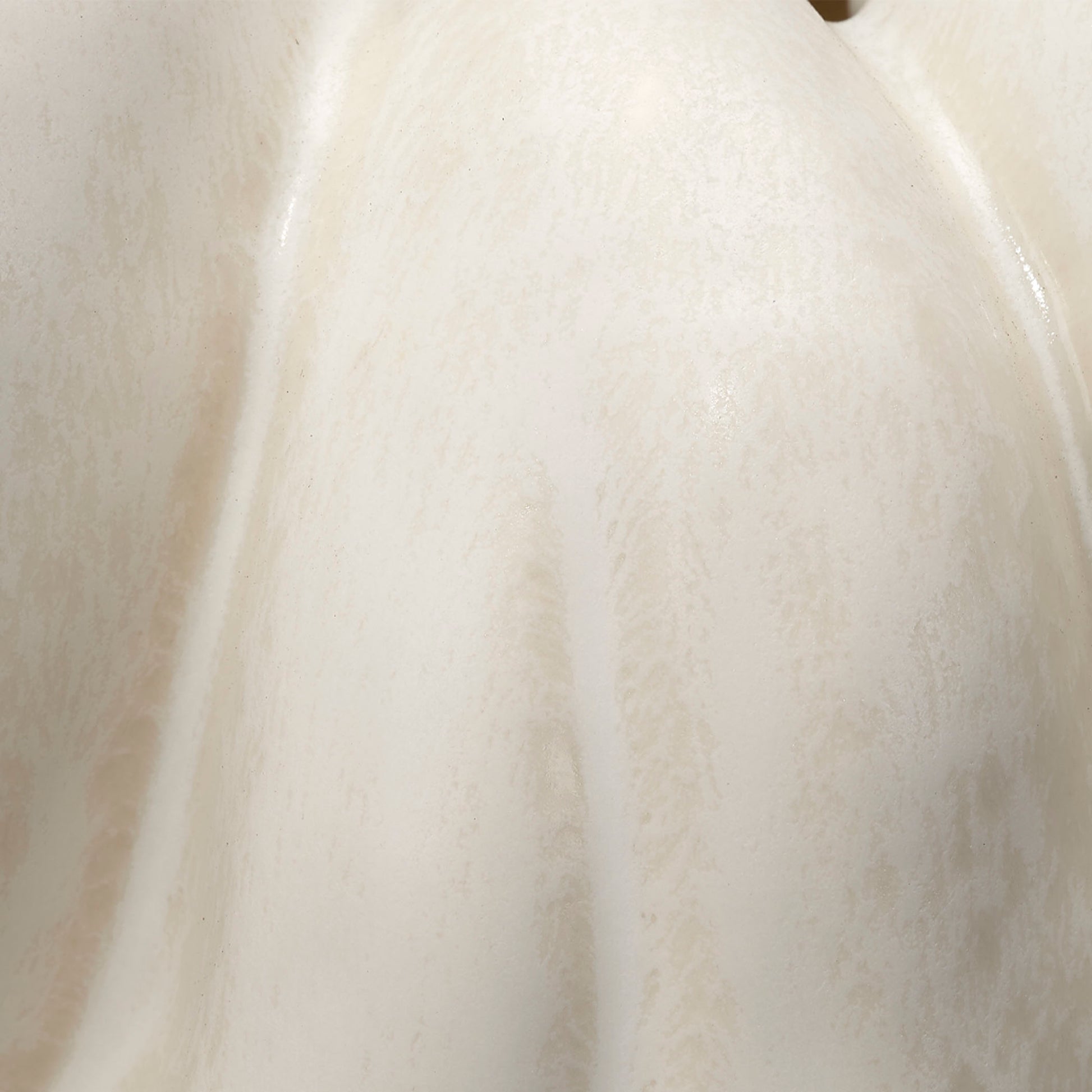 Tulip Ceramic Decorative Vase by Jamie Young