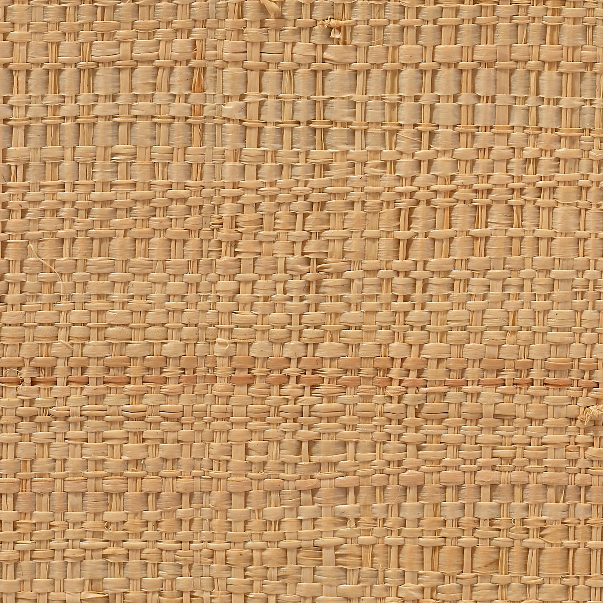 Wonderland Scalloped Small Decorative Raffia Tray, Natural by Jamie Young