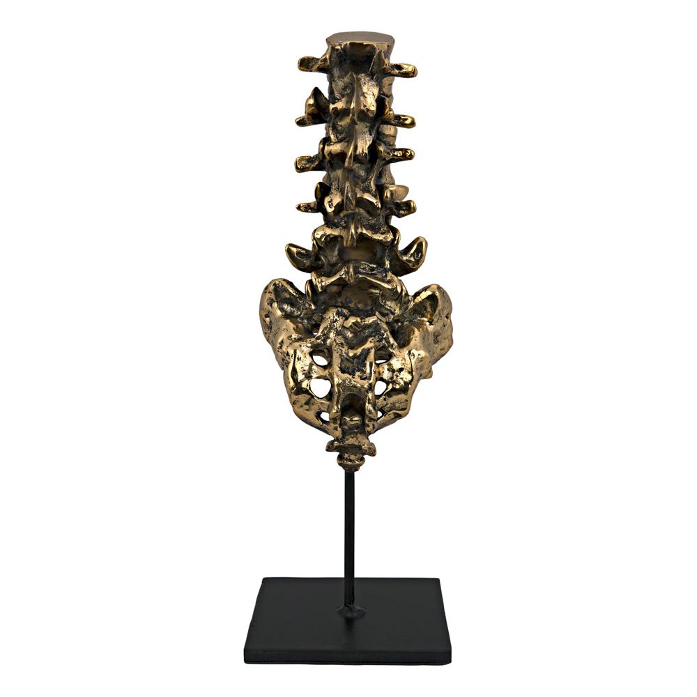 Vertebrae, Brass and Iron by NOIR