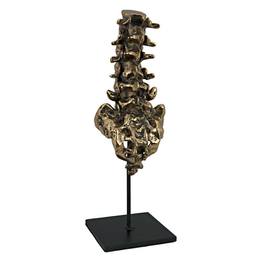 Vertebrae, Brass and Iron by NOIR