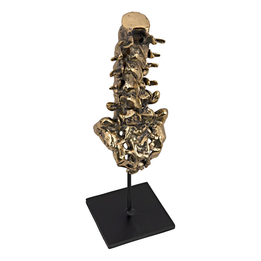 Vertebrae, Brass and Iron by NOIR