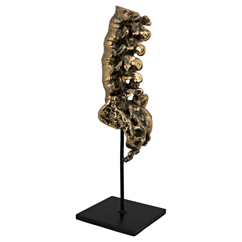 Vertebrae, Brass and Iron by NOIR