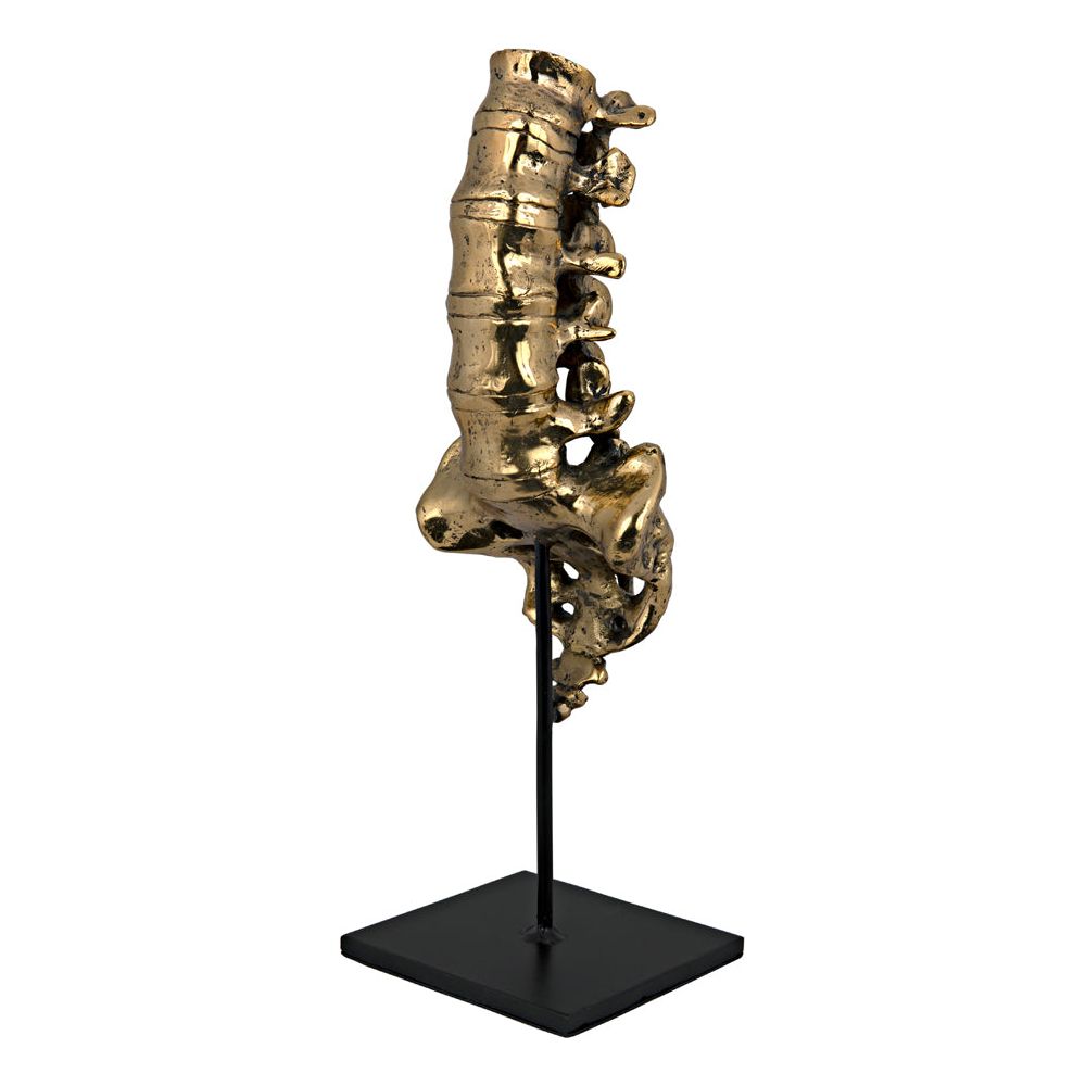 Vertebrae, Brass and Iron by NOIR