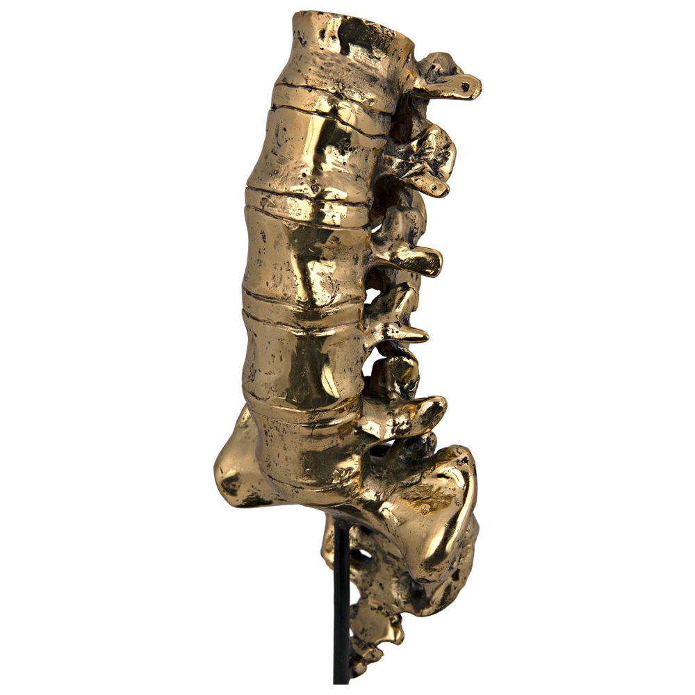 Vertebrae, Brass and Iron by NOIR